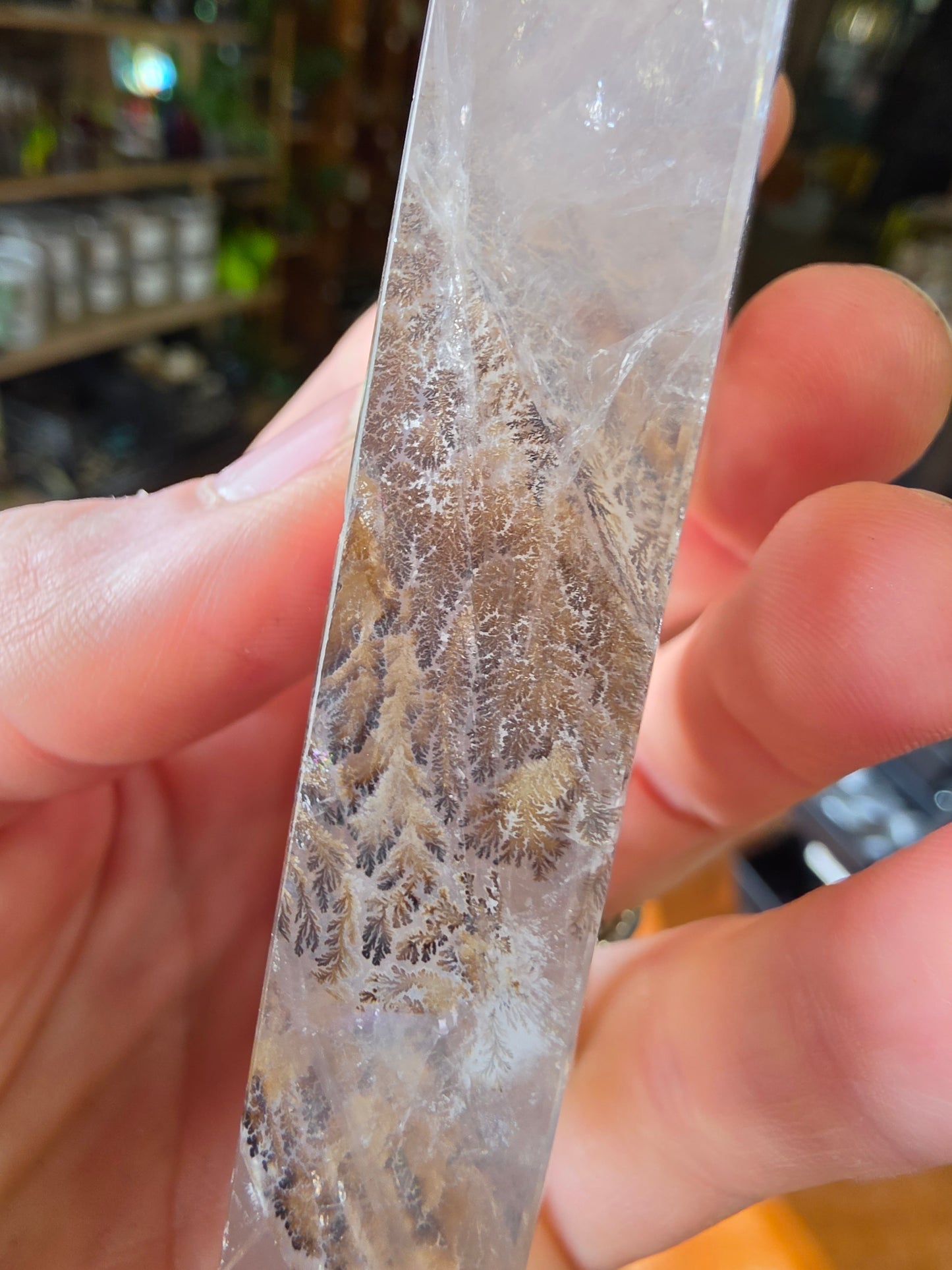 Dendritic Girasol Quartz Point