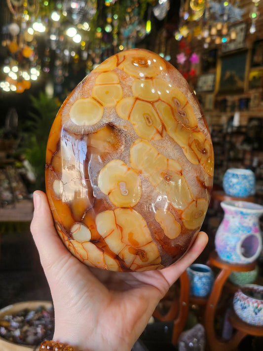 Carnelian Agate Freeform