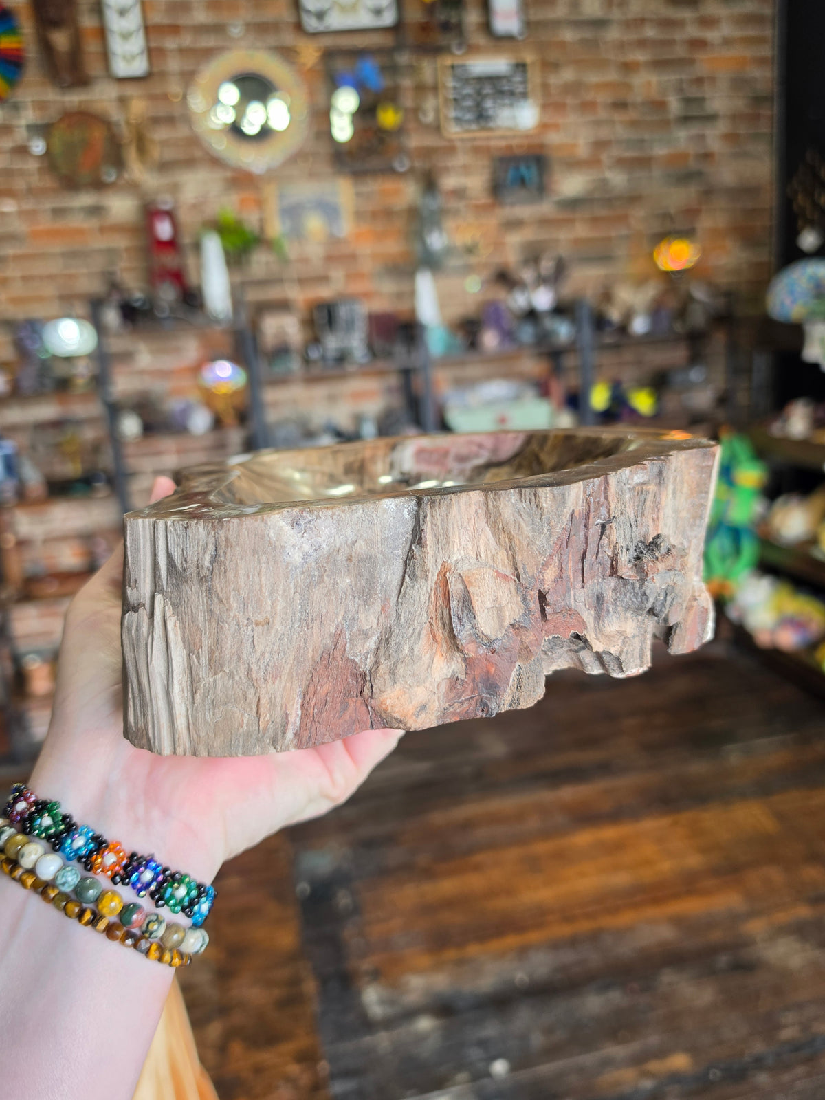 Petrified Wood Bowl