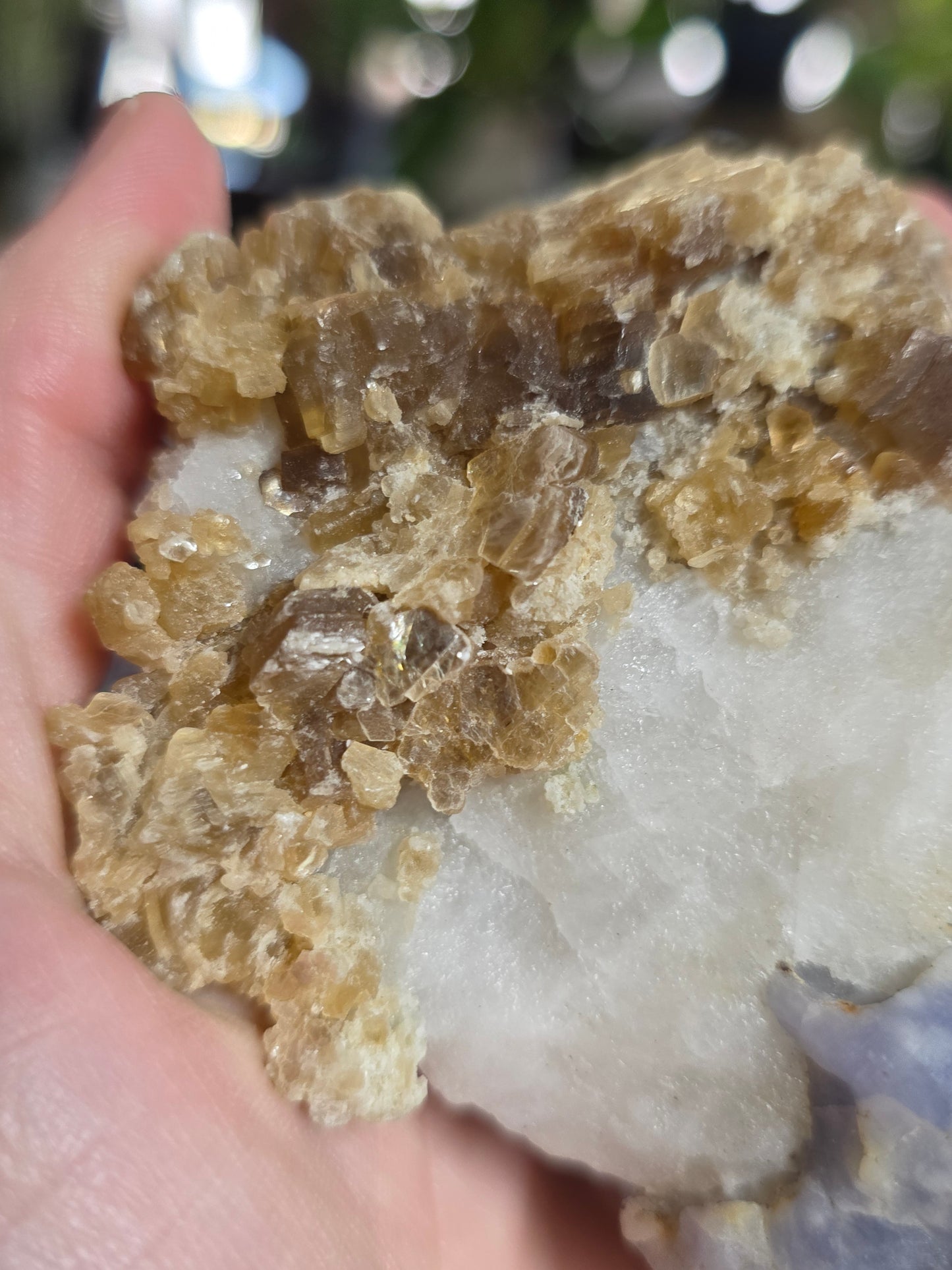 Hackmanite and Golden Mica on Albite