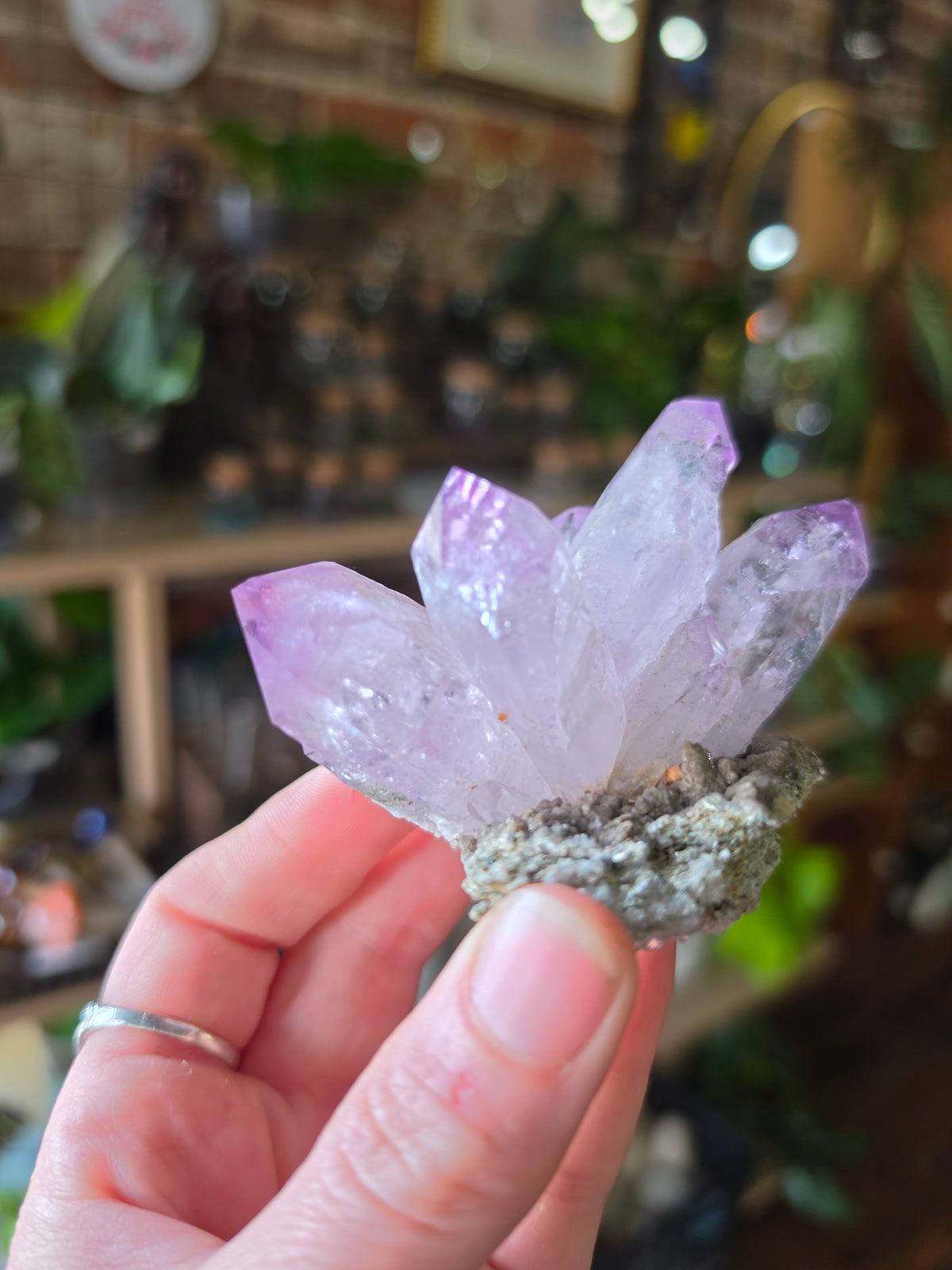 Vera Cruz Amethyst on Dolomite