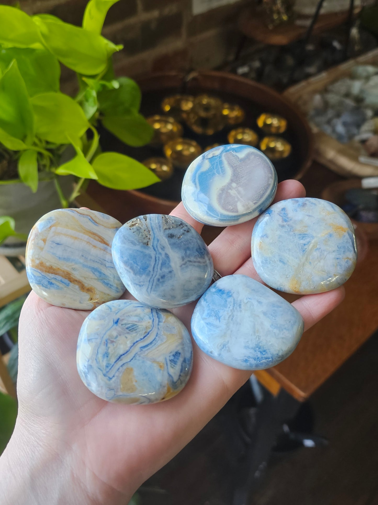 Lapis Lace Palm Stone (Scheelite)