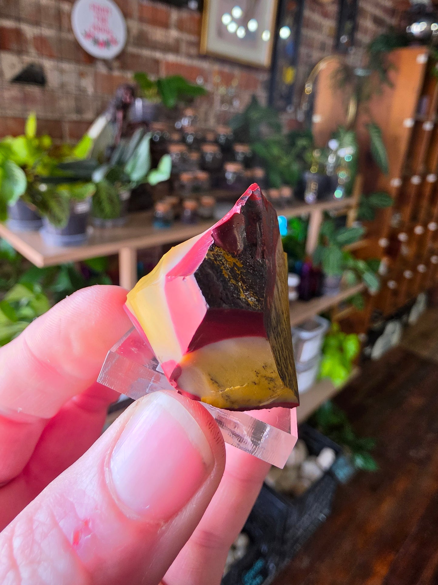 Mookaite with Dentrites