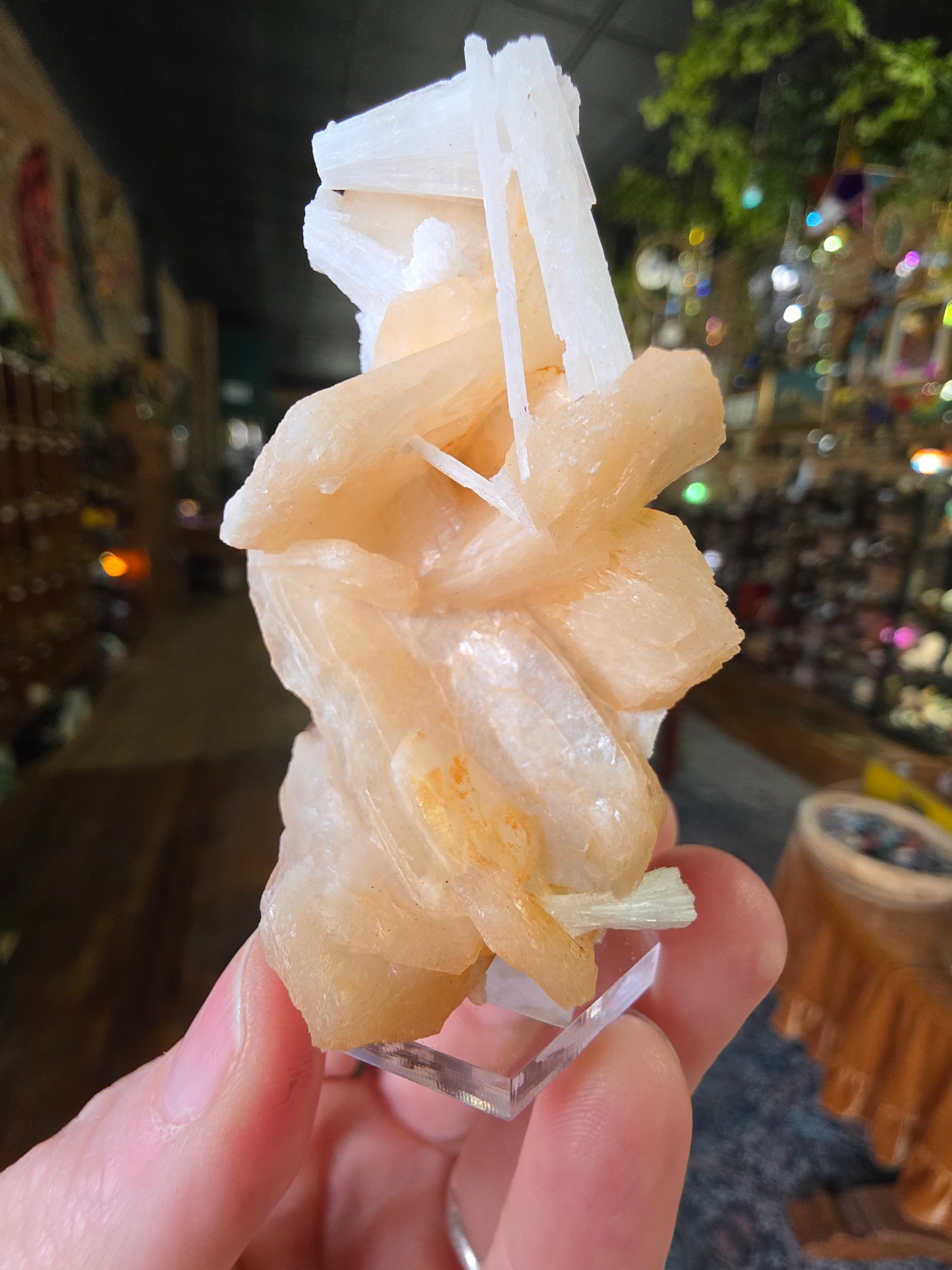 Scolecite on Peach Stilbite