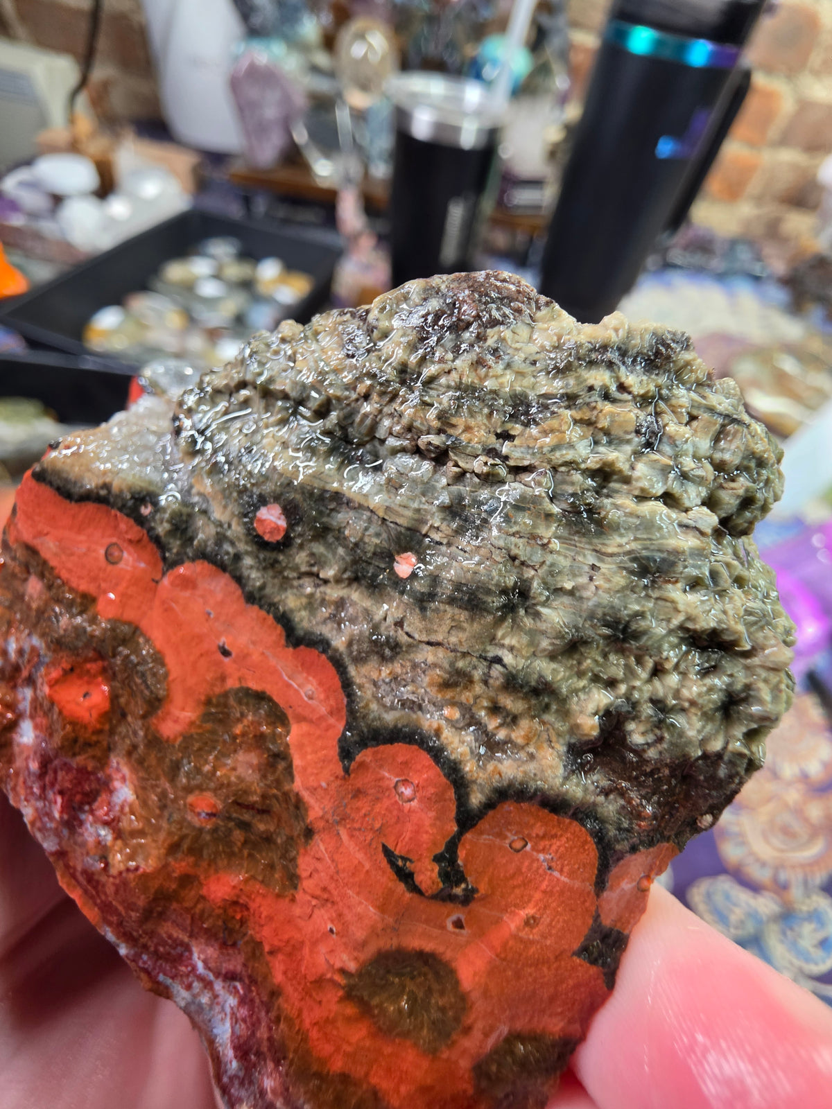Orbicular Jasper Rough