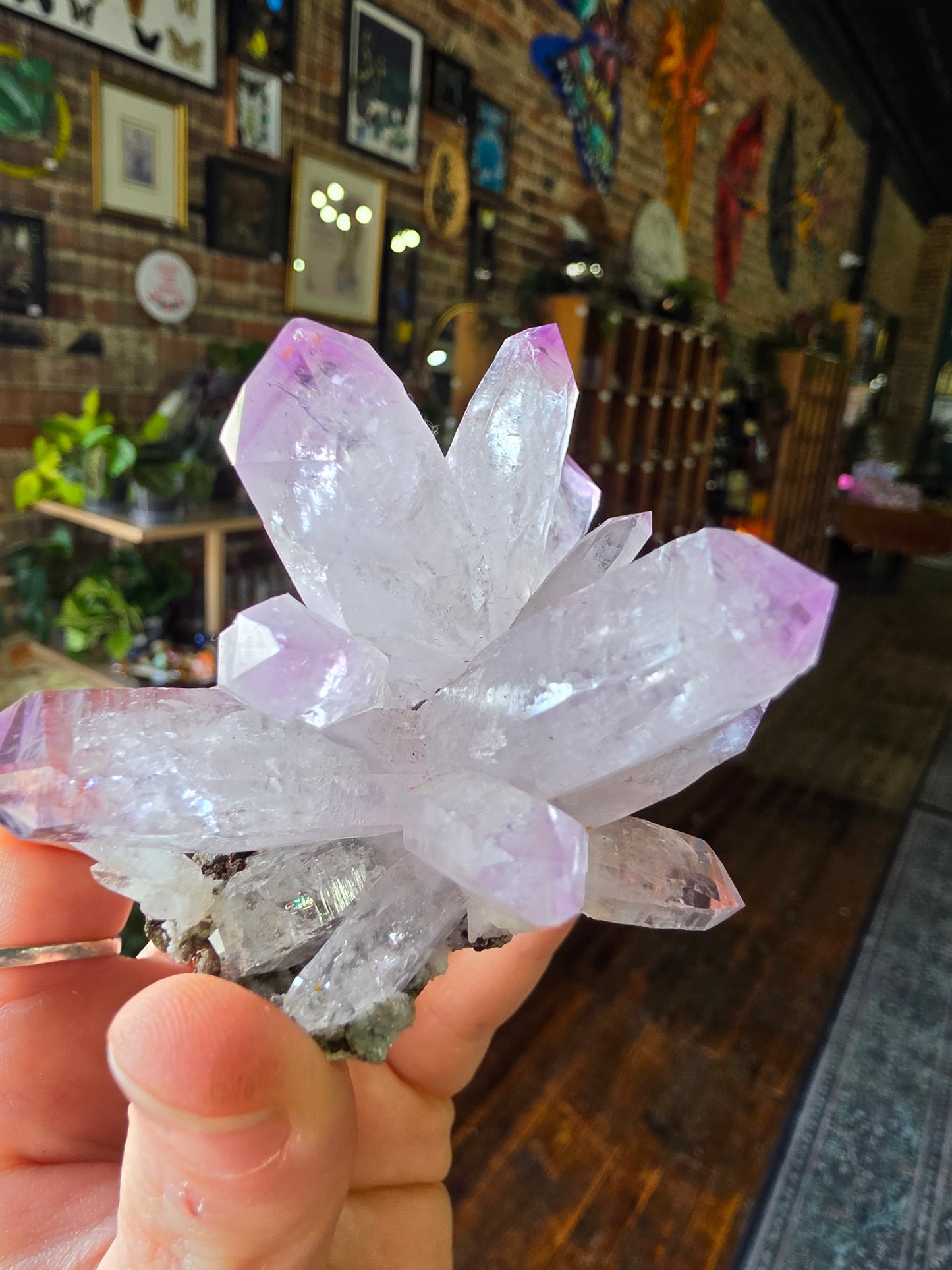 Vera Cruz Amethyst