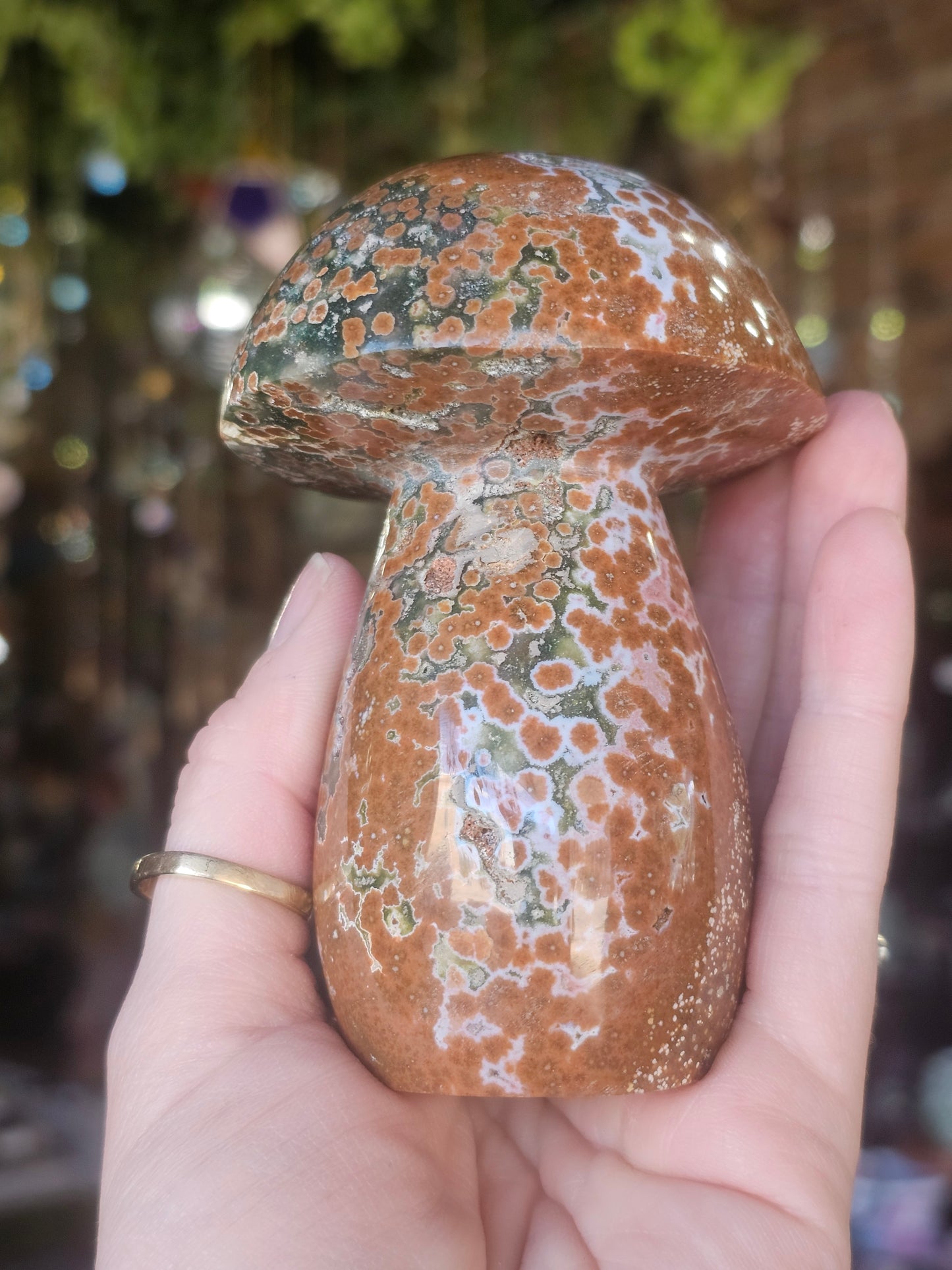 Orbicular Jasper Mushroom