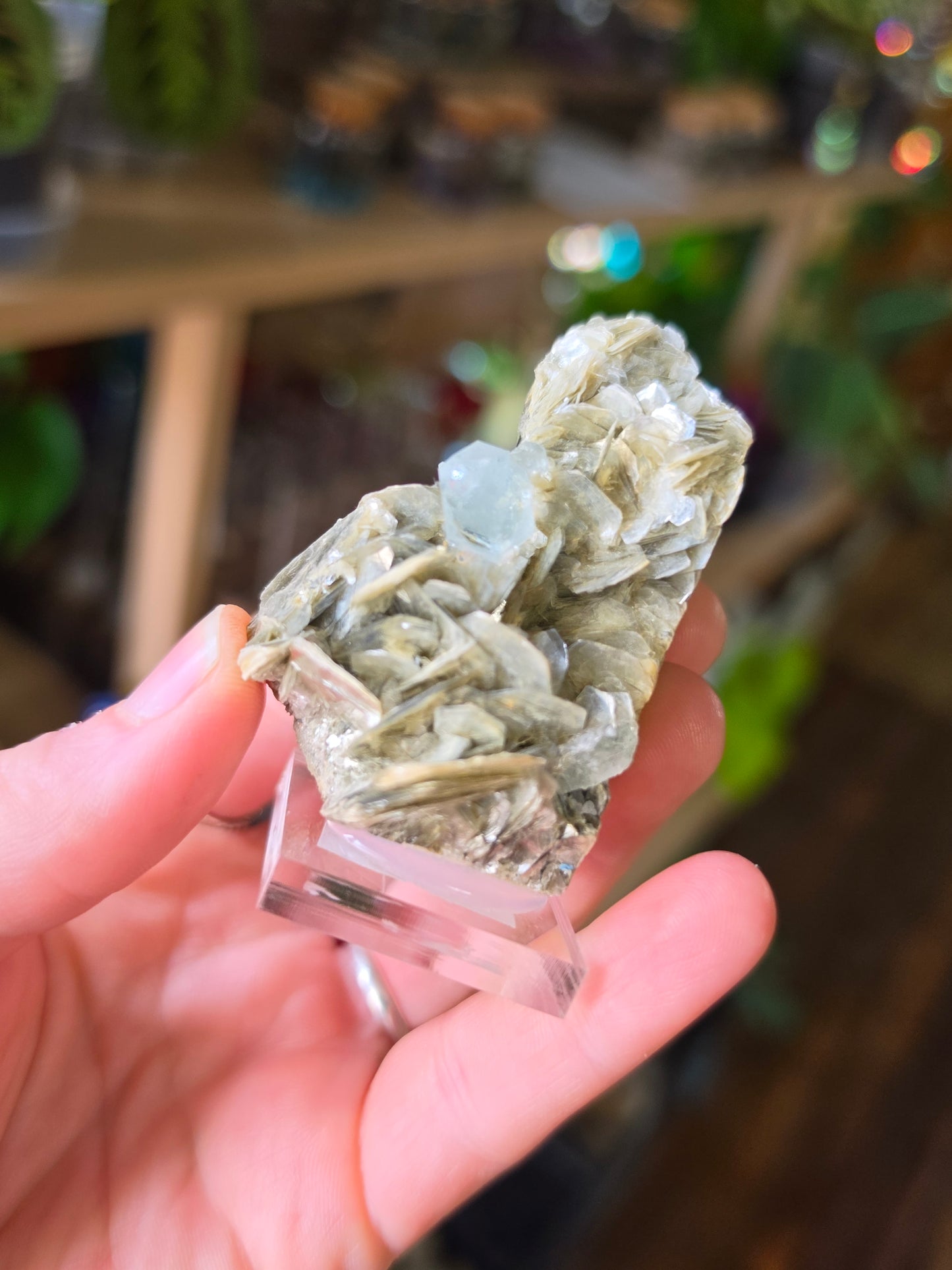 Aquamarine on Muscovite