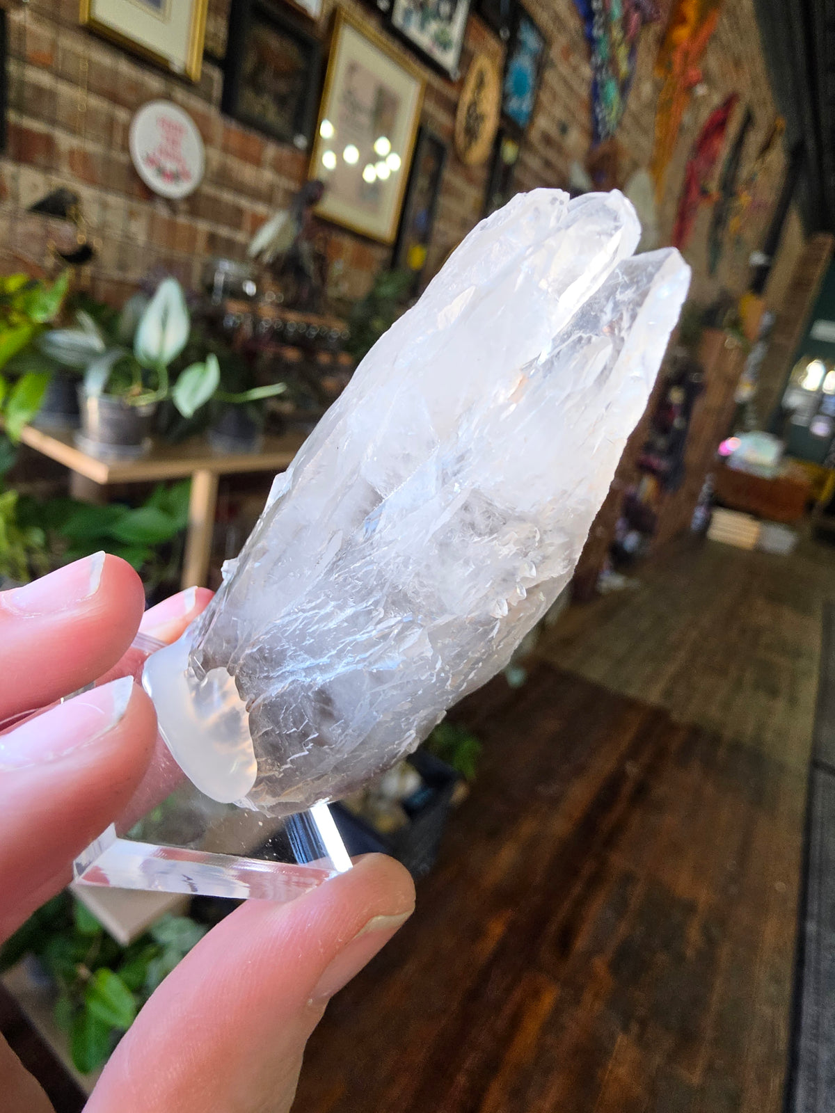 Phantom Calcite