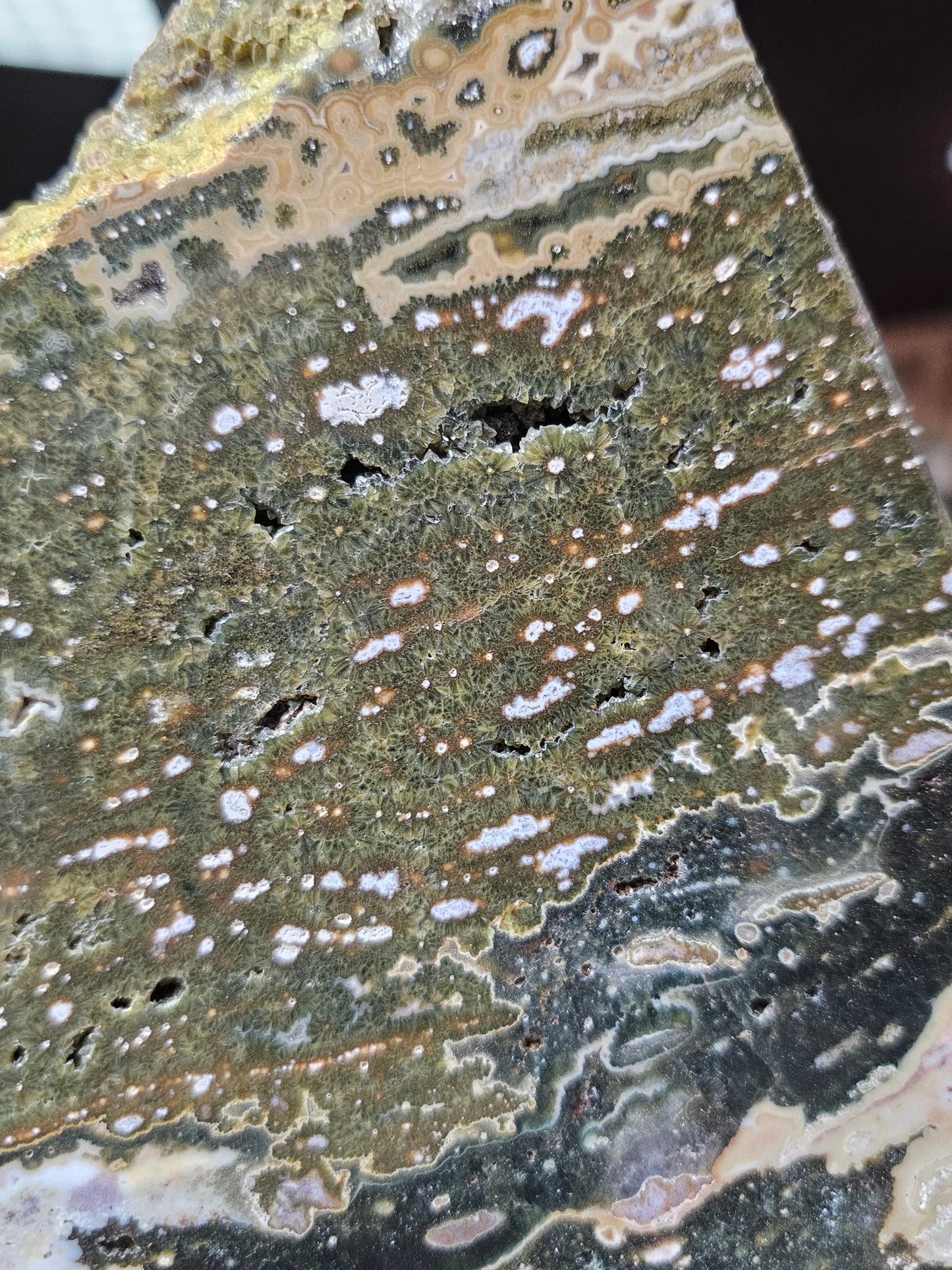 Orbicular Jasper Slab