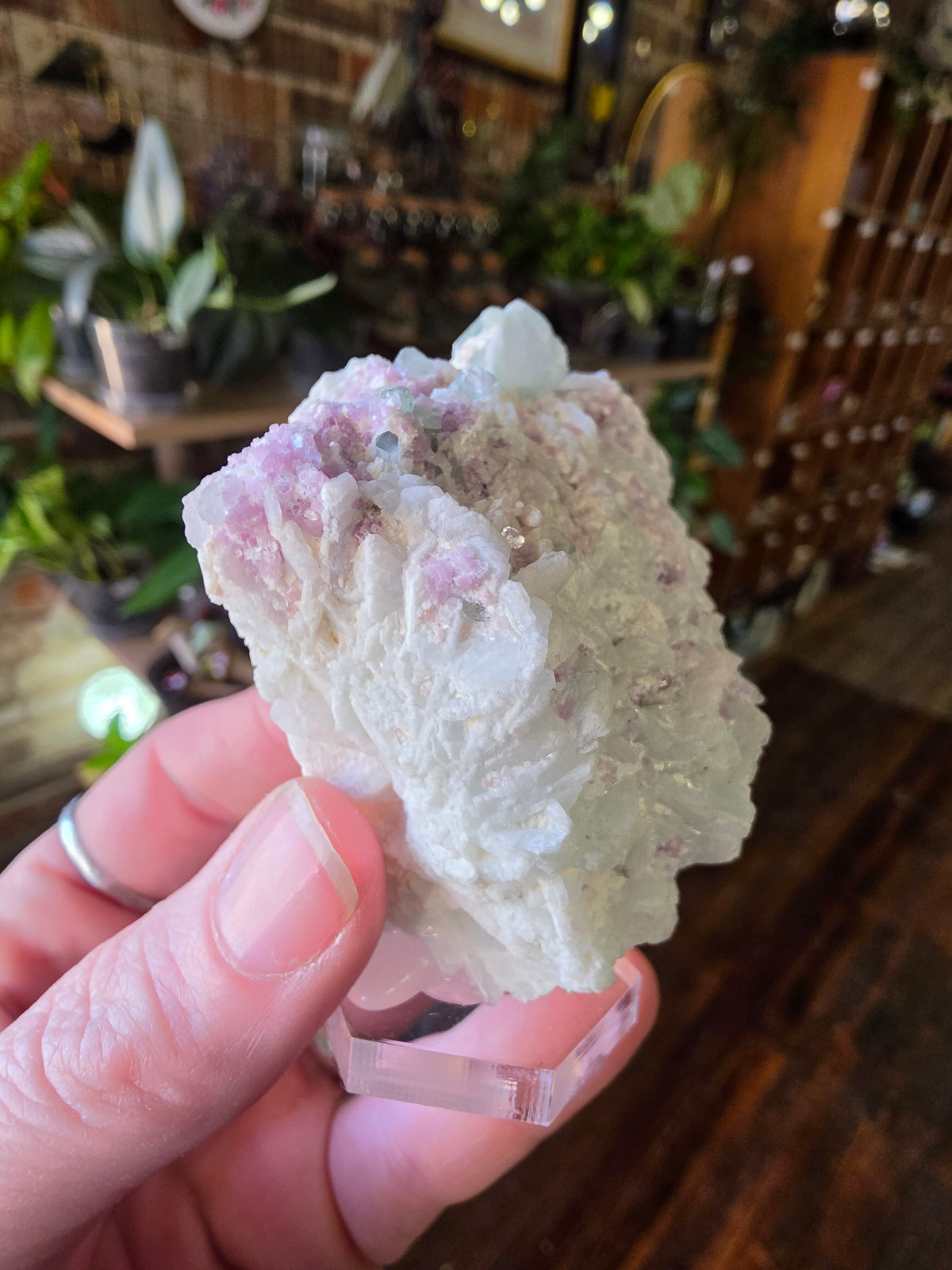 Blue Tourmaline and Lepidolite on Cleavlandite