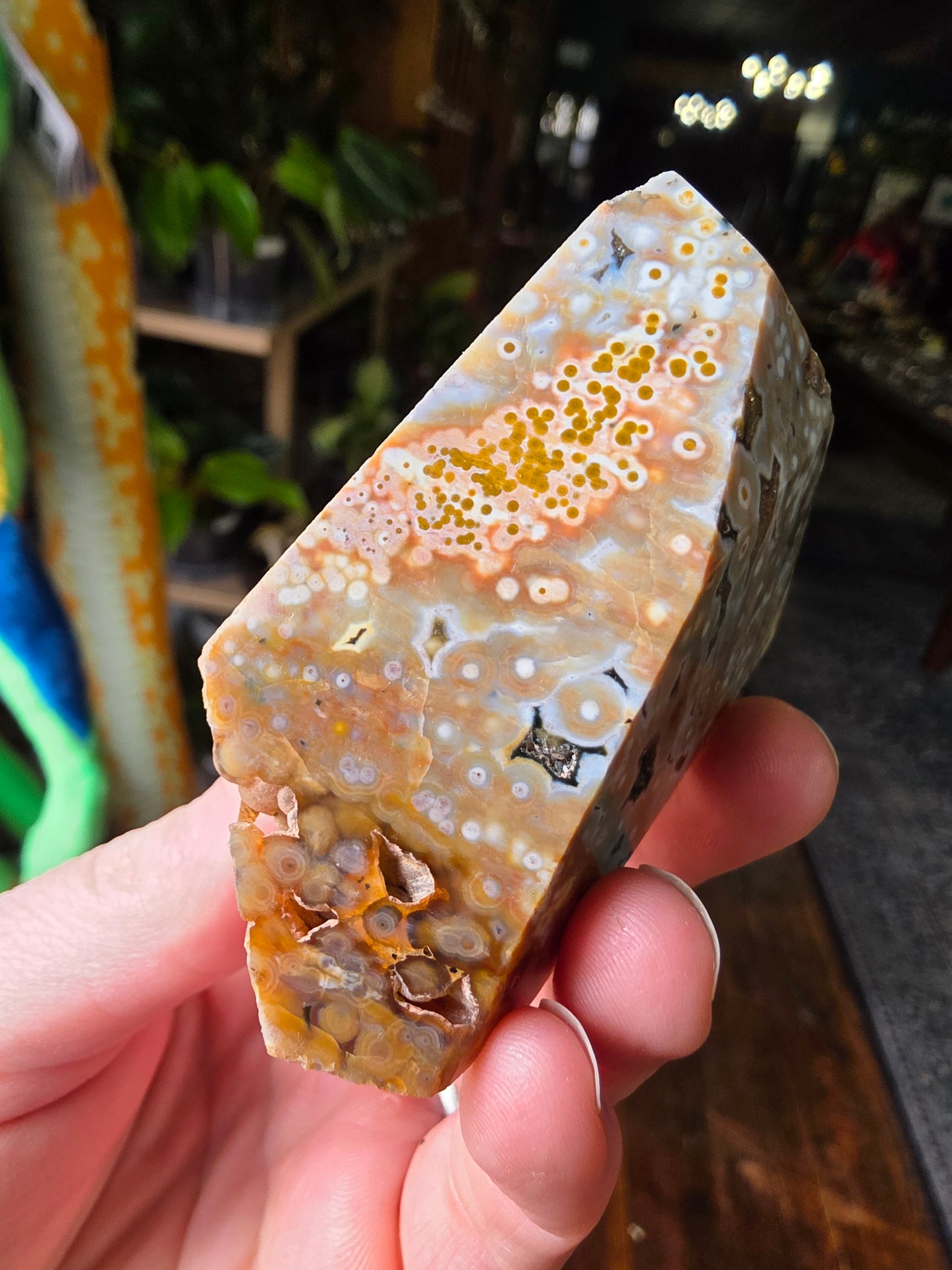 Ocean Jasper Freeform