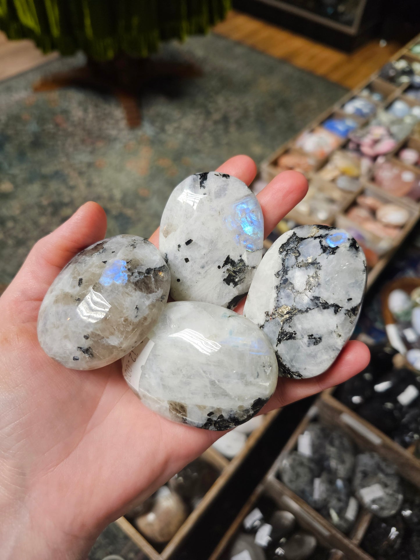 Rainbow Moonstone Palmstone