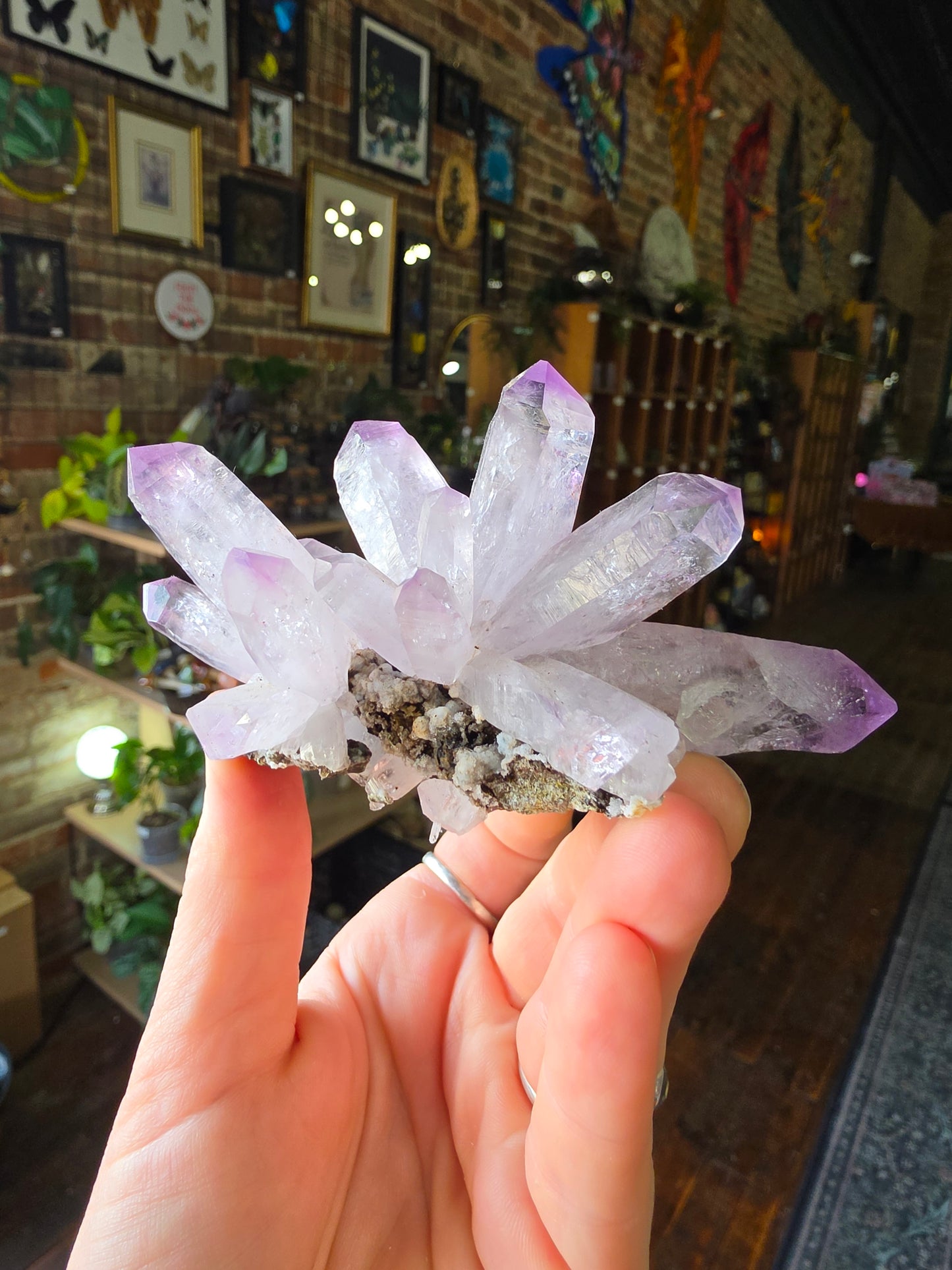 Vera Cruz Amethyst