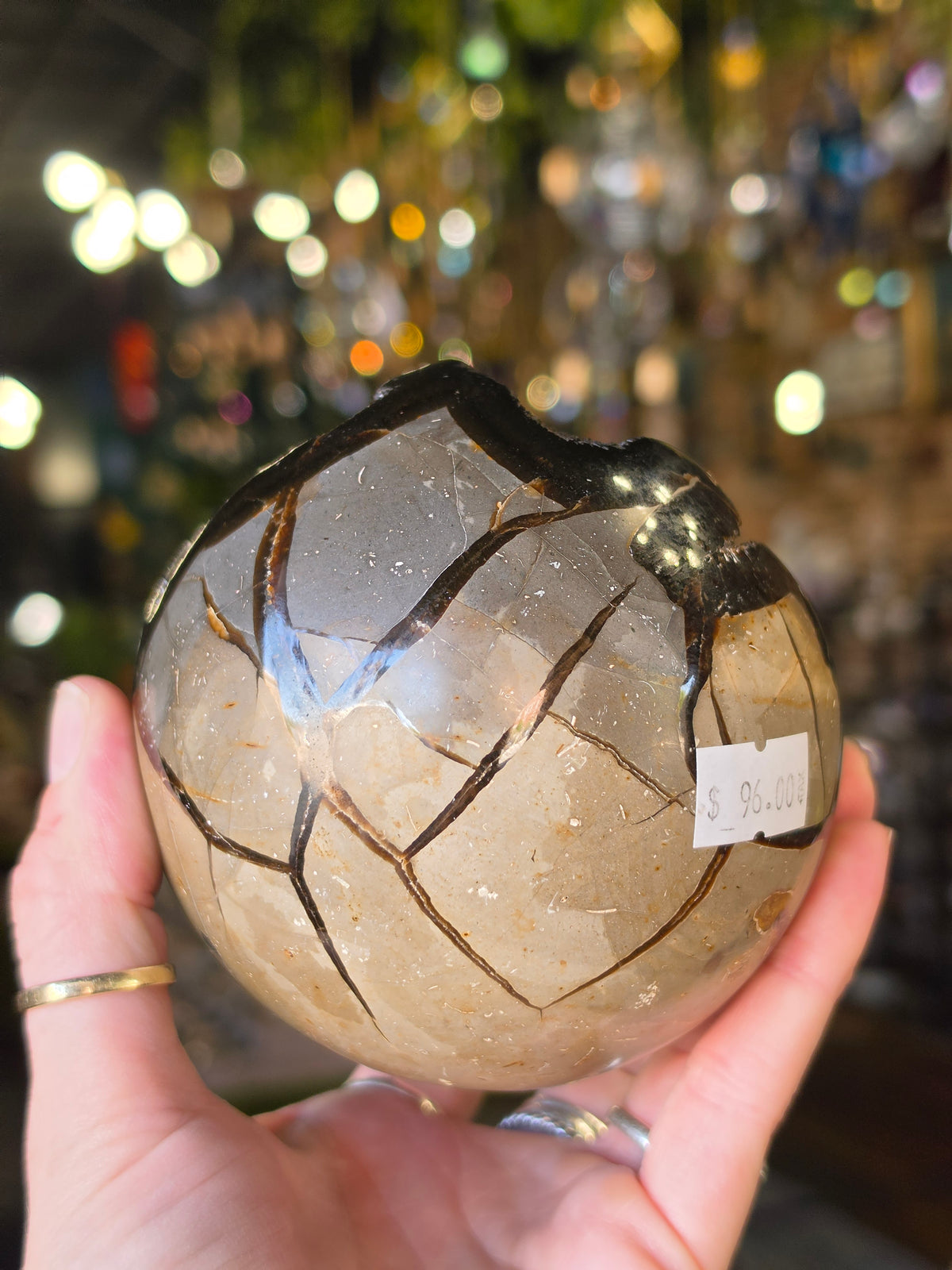 Septarian Nodule Egg