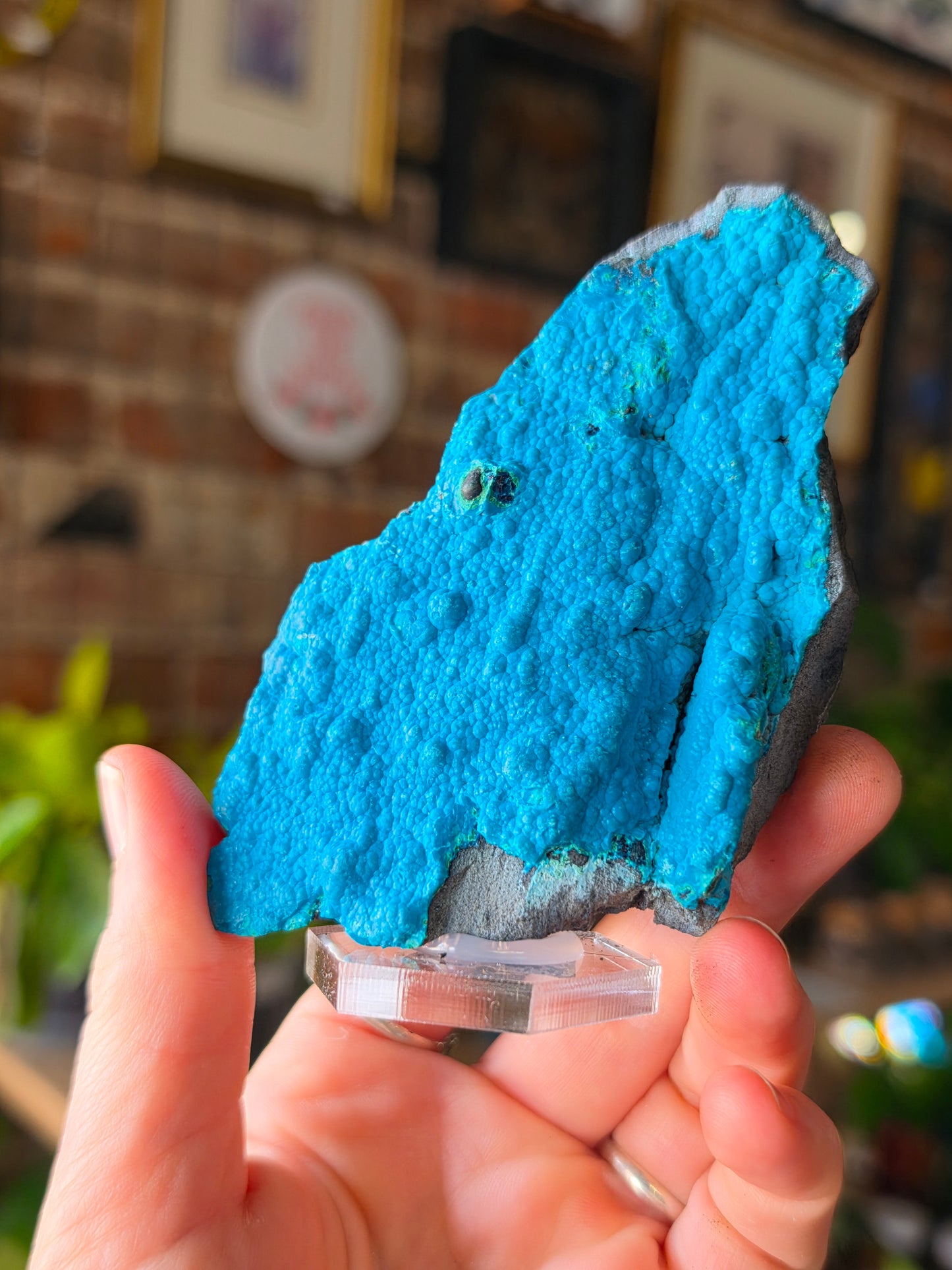 Chrysocolla and Malachite