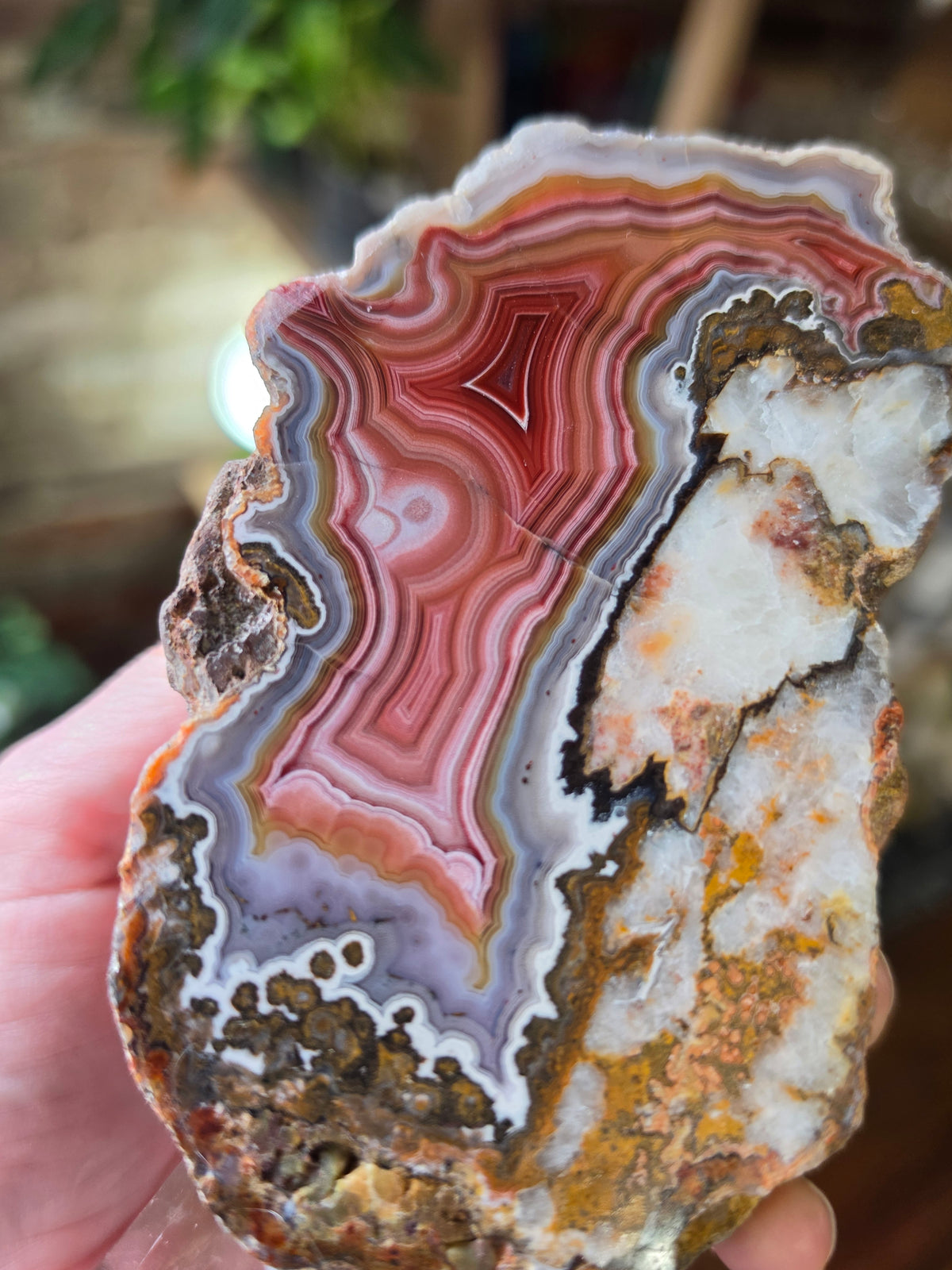 Laguna Agate ( With Parallax)