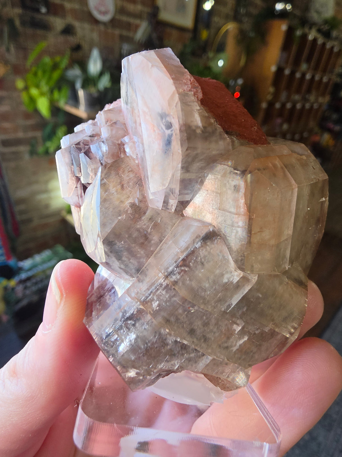 Chocolate Calcite