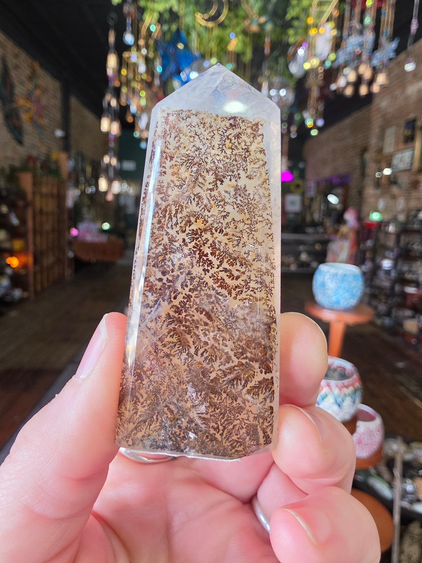 Dendritic Quartz Point