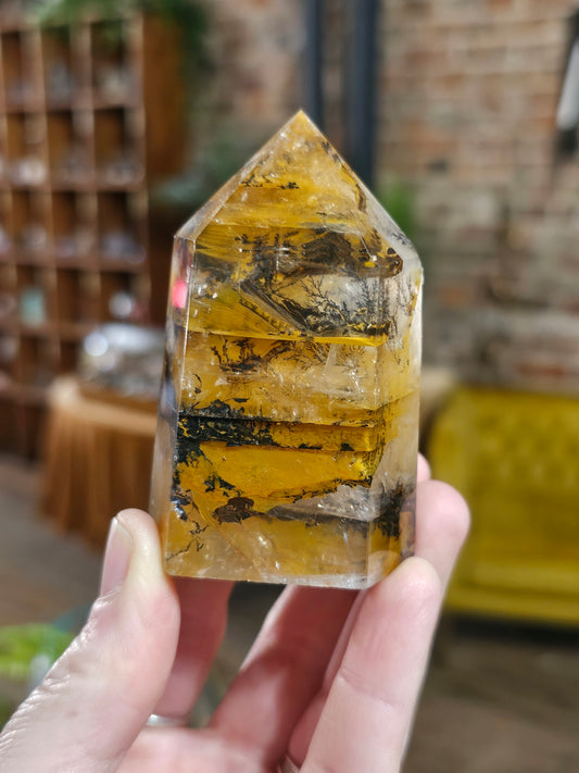 Dendritic Golden Healer Point