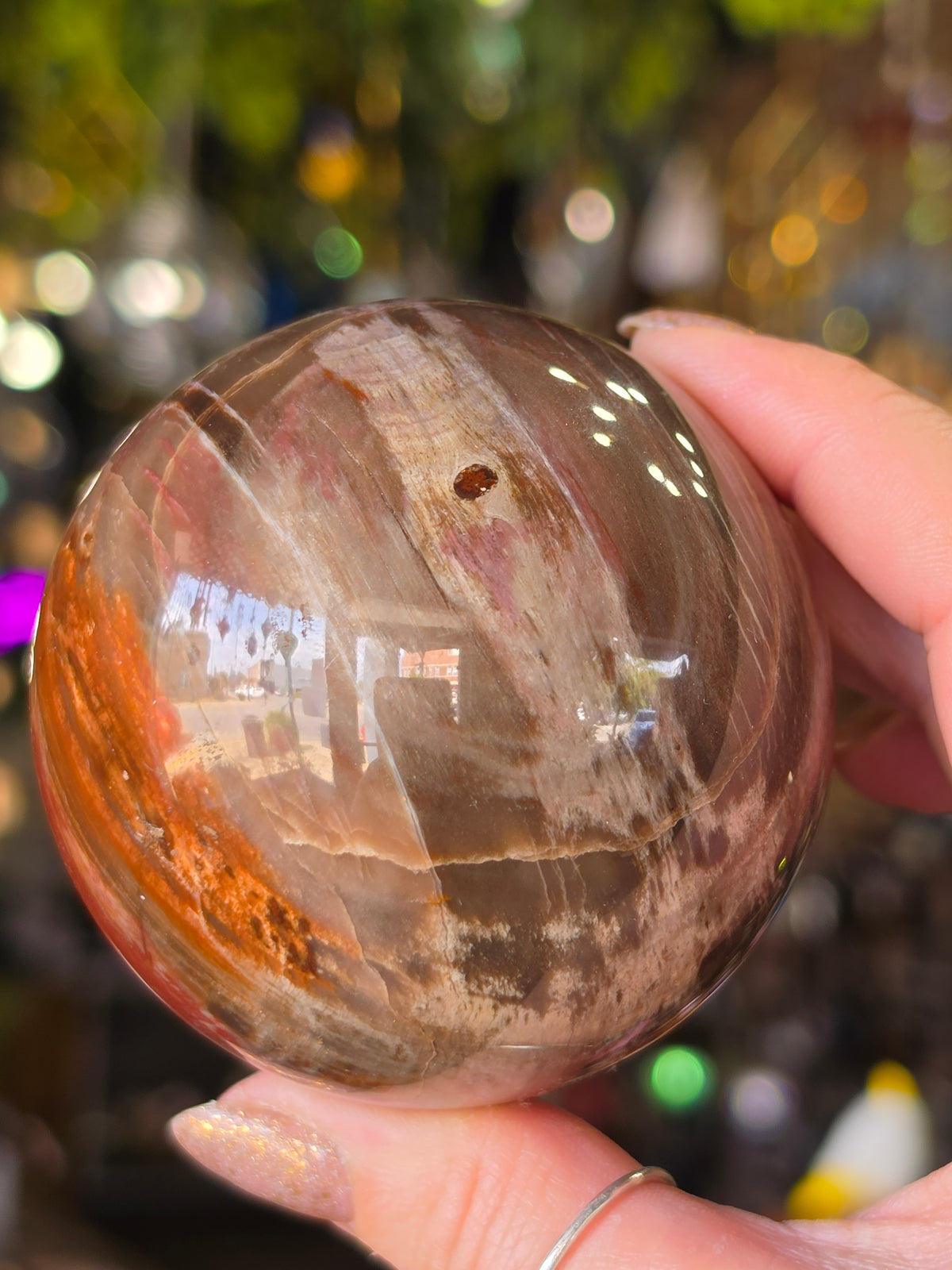 Petrified Wood Sphere