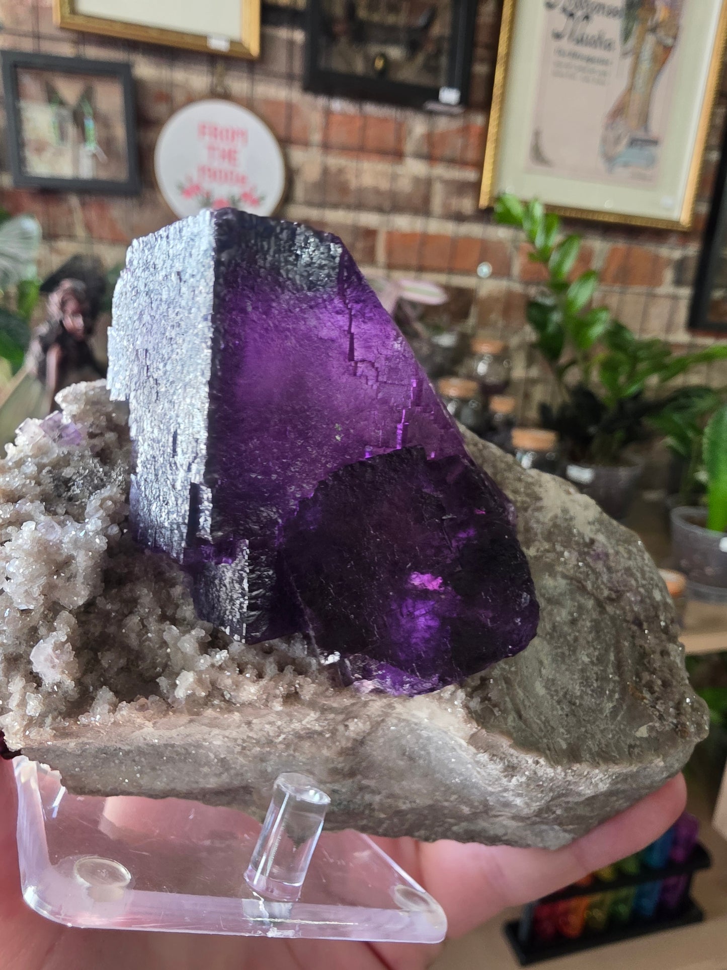 Fluorite and Sphalerite on Druzy Quartz
