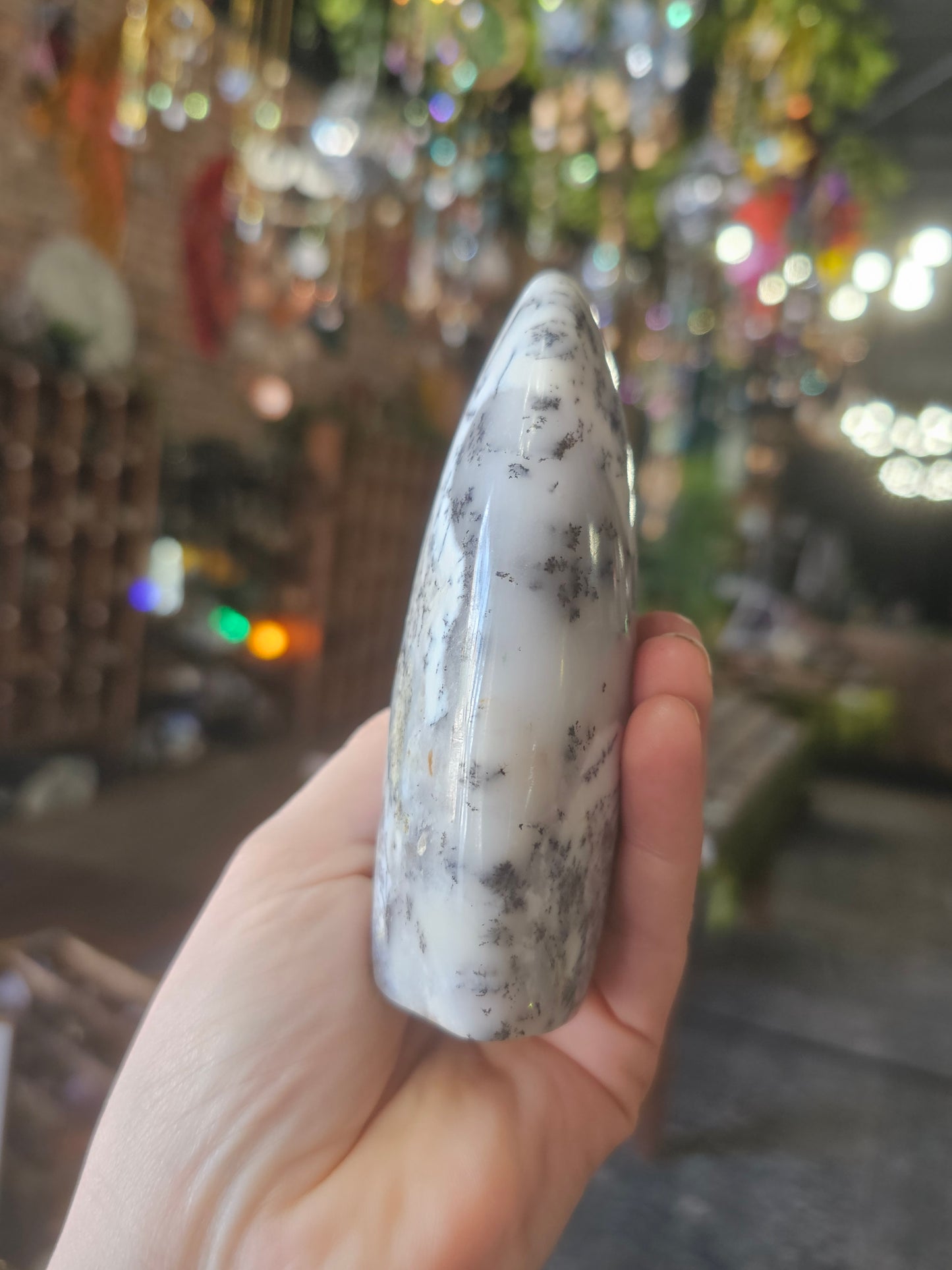 Dendritic Common Opal Freeform