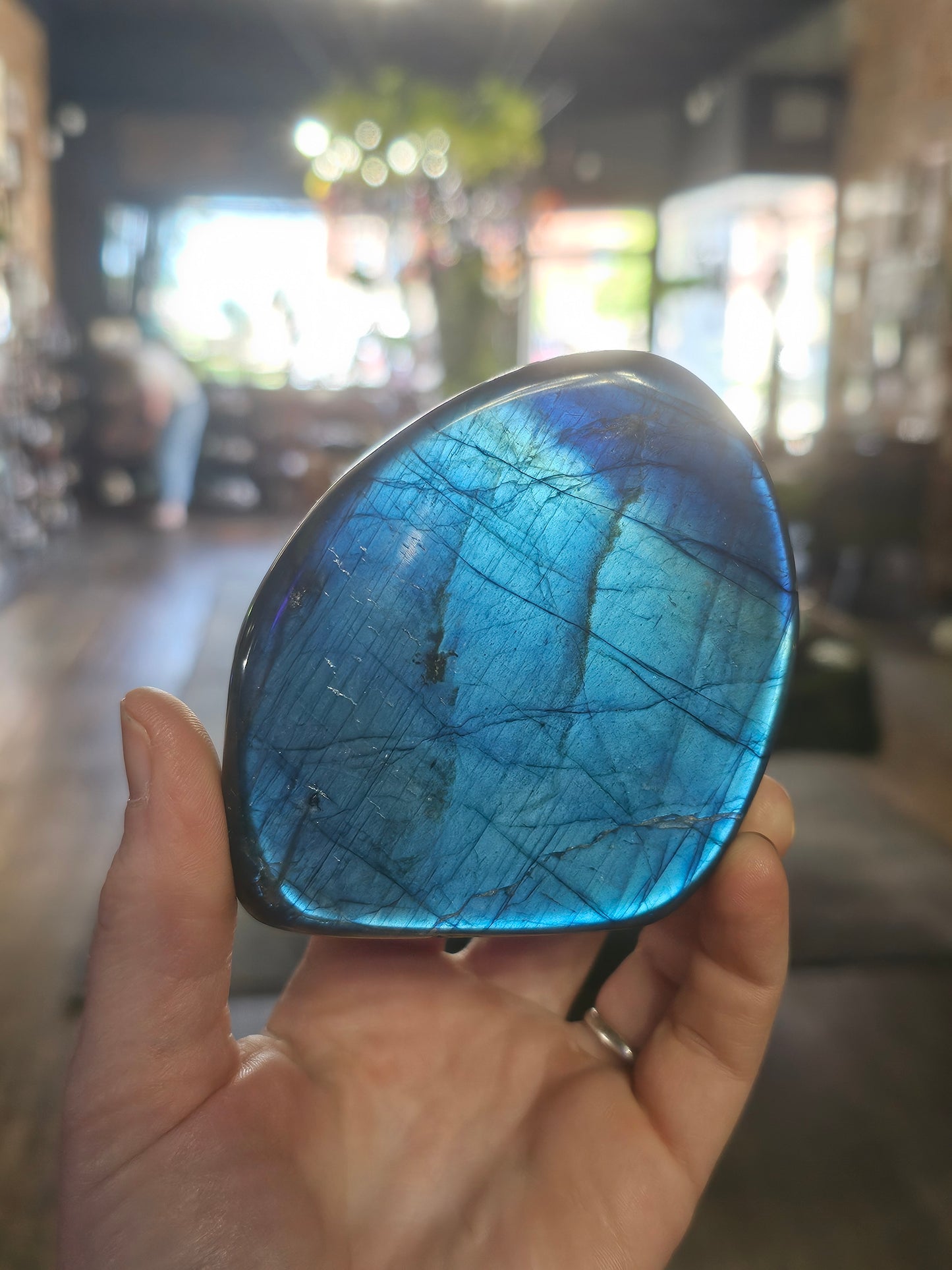 Blue Flash Labradorite freeform