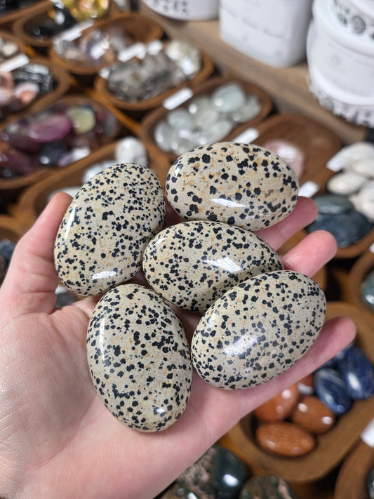 Dalmatian Jasper Palmstone
