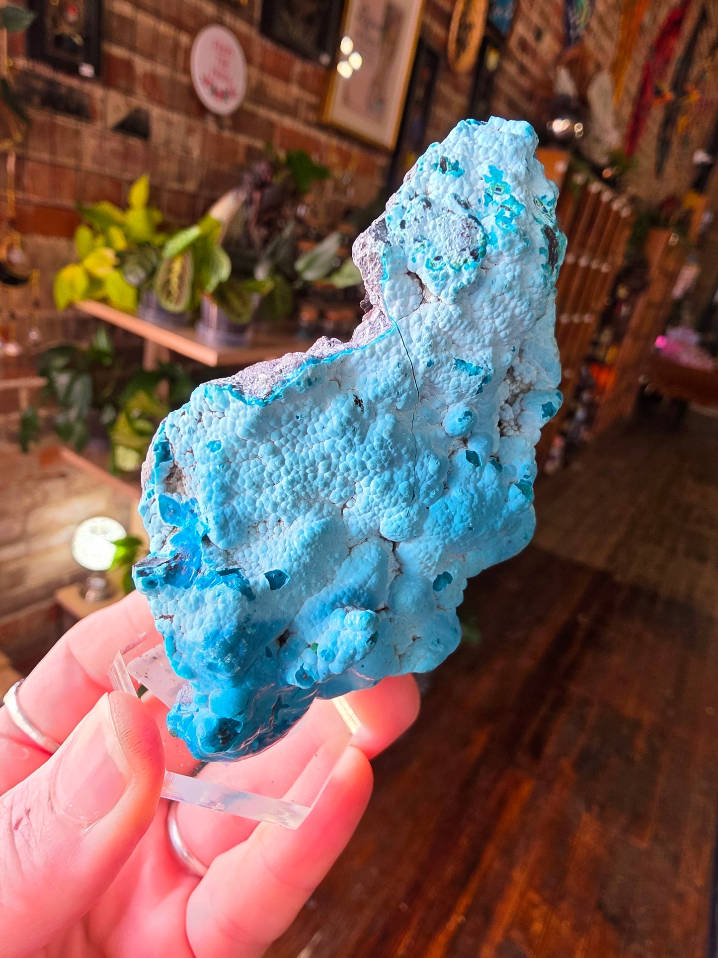 Chrysocolla and Malachite