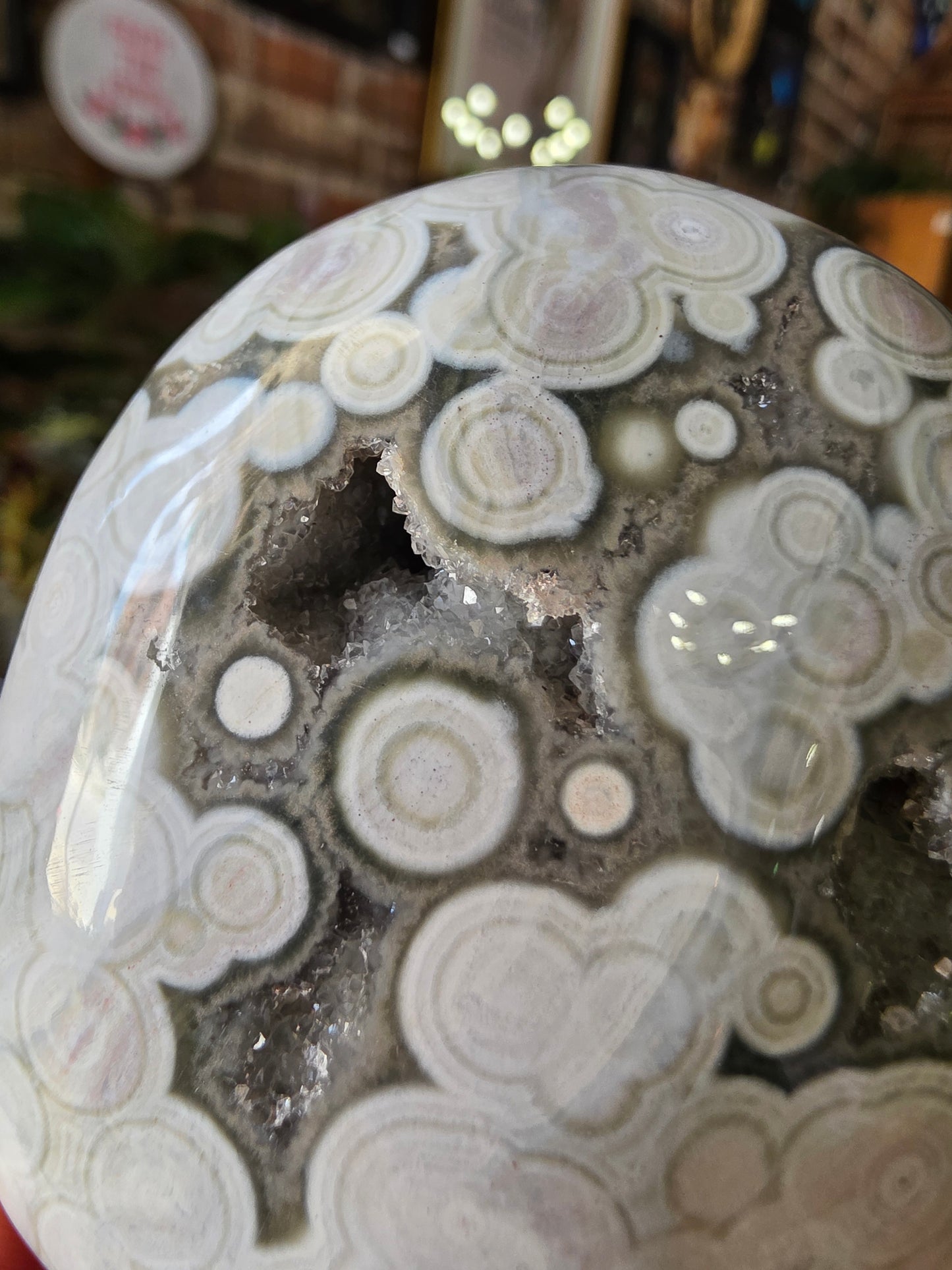 Large Druzy 8th Vein Ocean Jasper Palm Stone