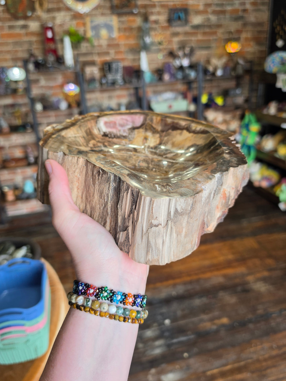 Petrified Wood Bowl