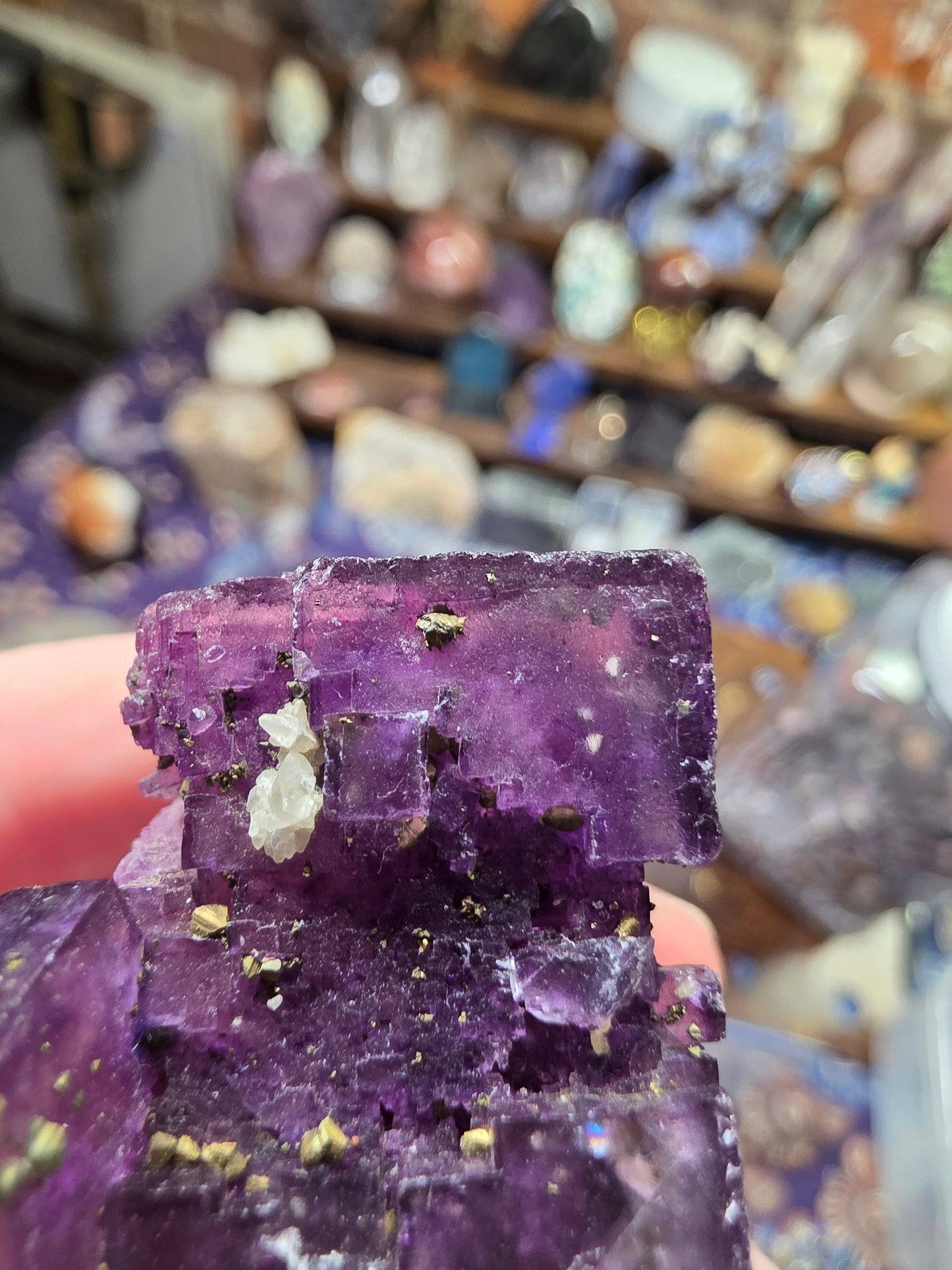 Pyrite on Fluorite