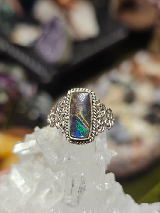 Size 7 Canadian Ammonite Ring