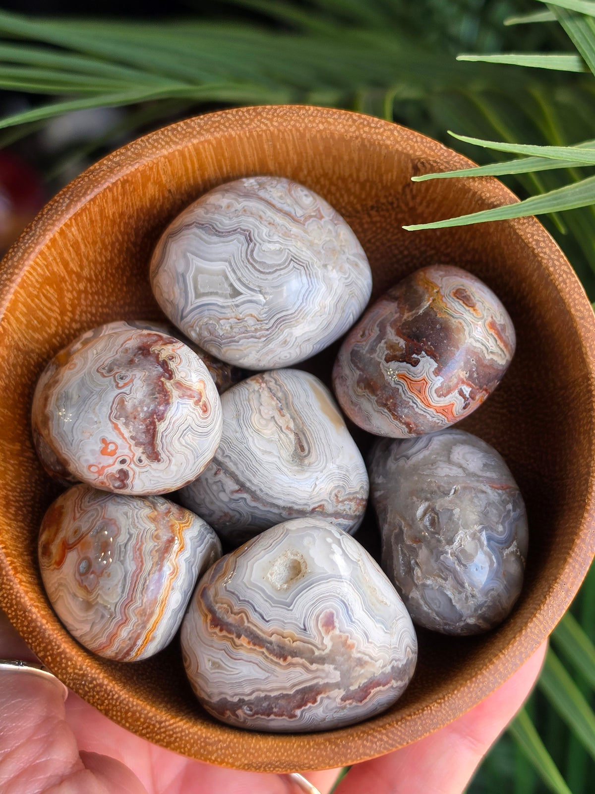 Laguna Lace Agate Tumble