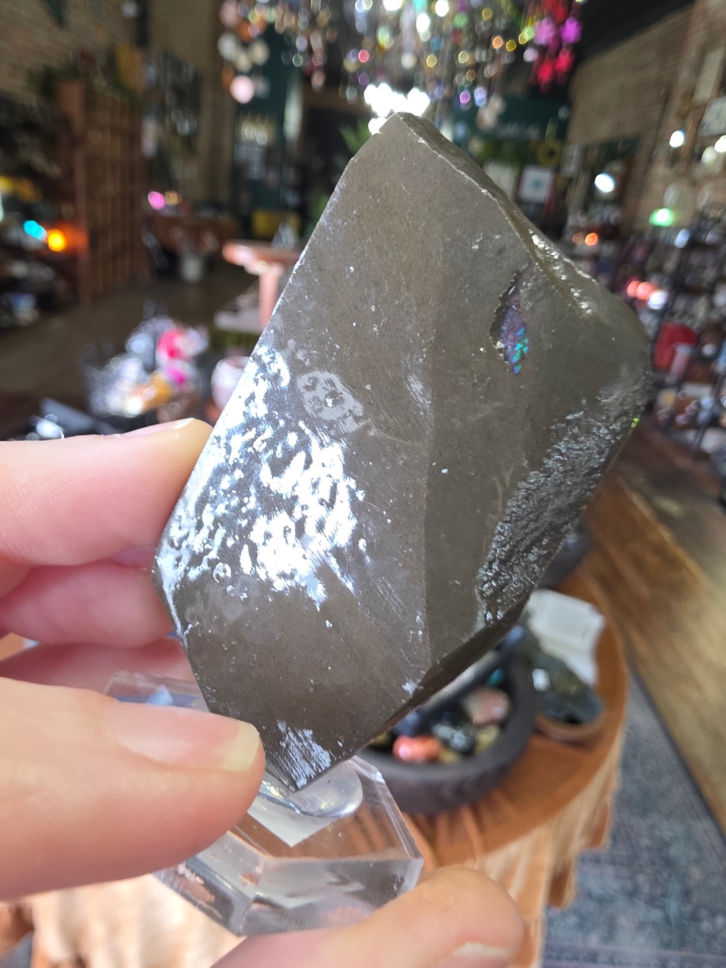 Ammolite
