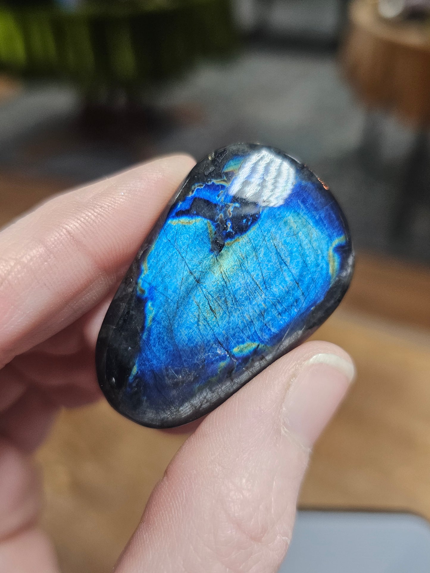 Finnish Spectrolite