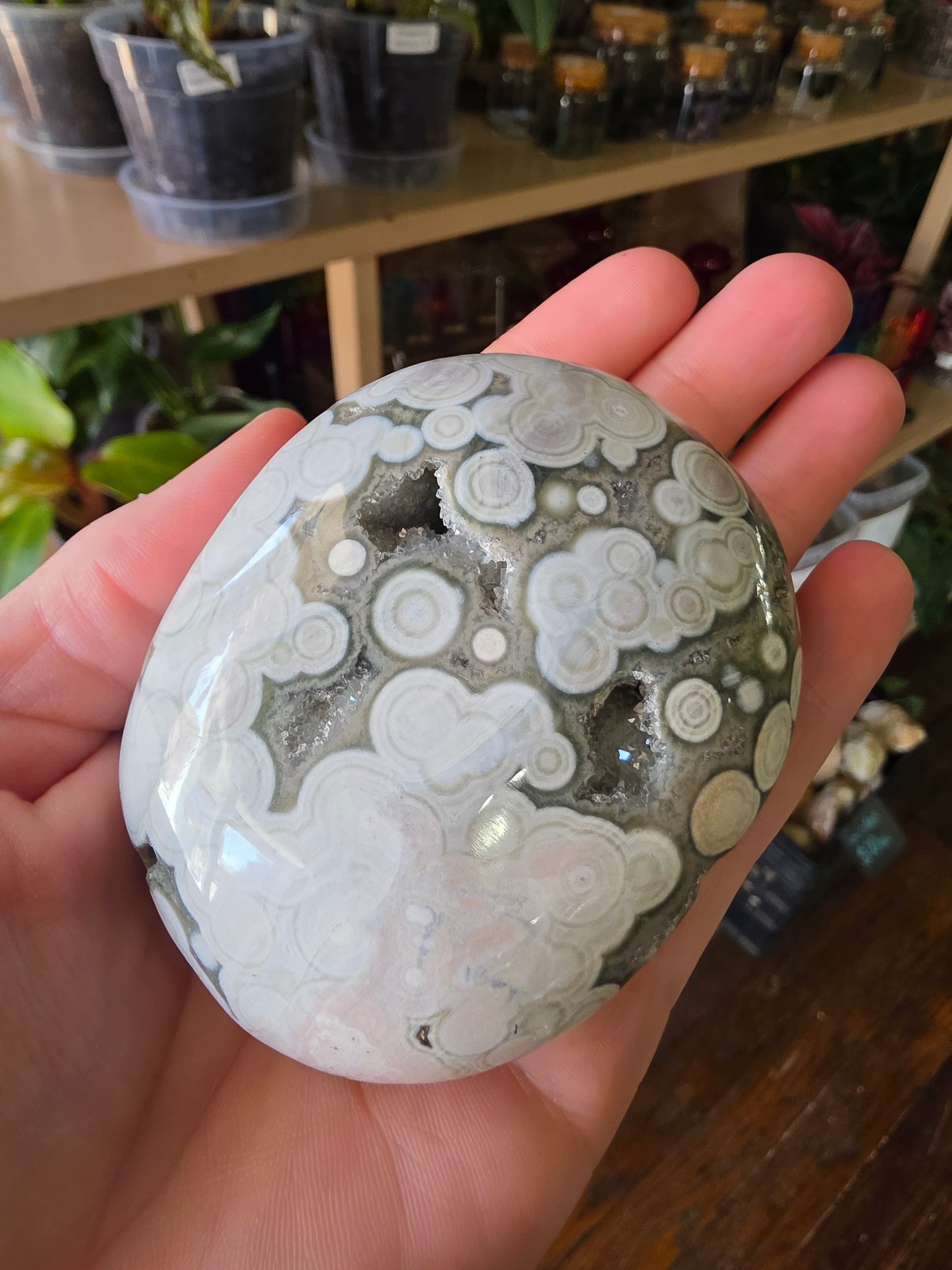 Large Druzy 8th Vein Ocean Jasper Palm Stone