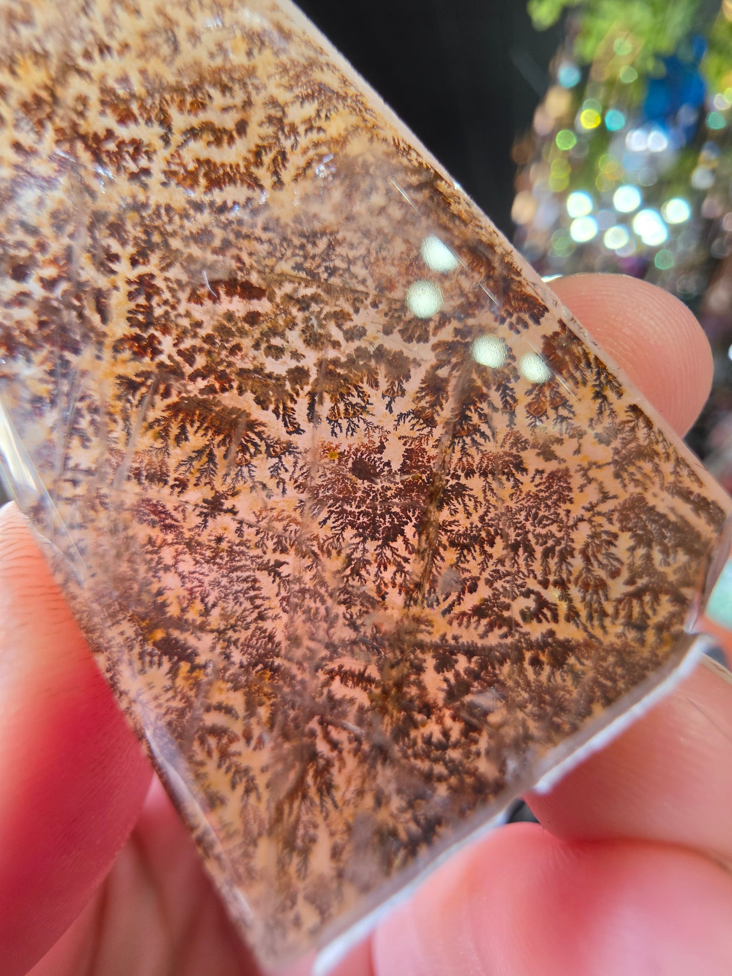 Dendritic Quartz Point
