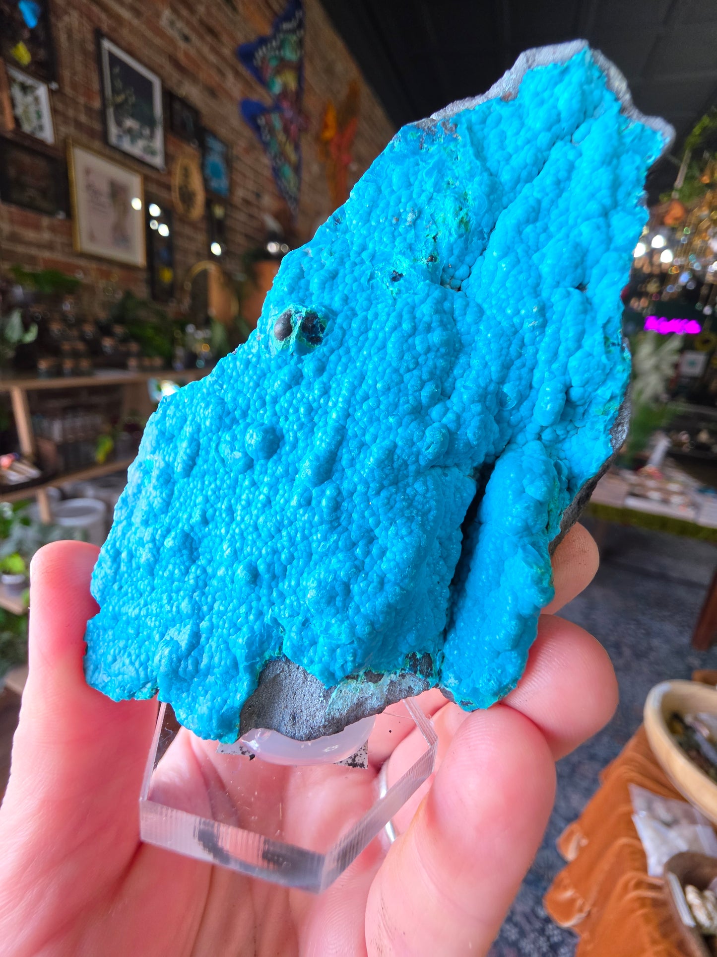 Chrysocolla and Malachite