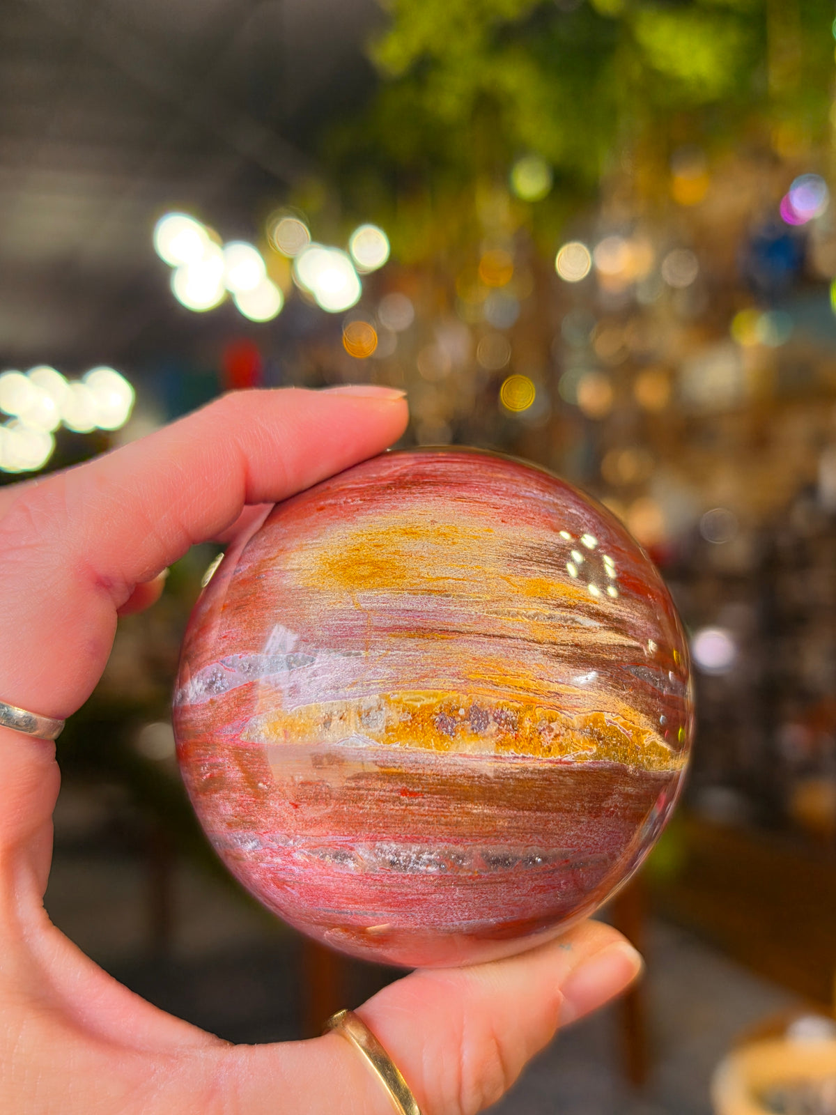 Petrified Wood Sphere