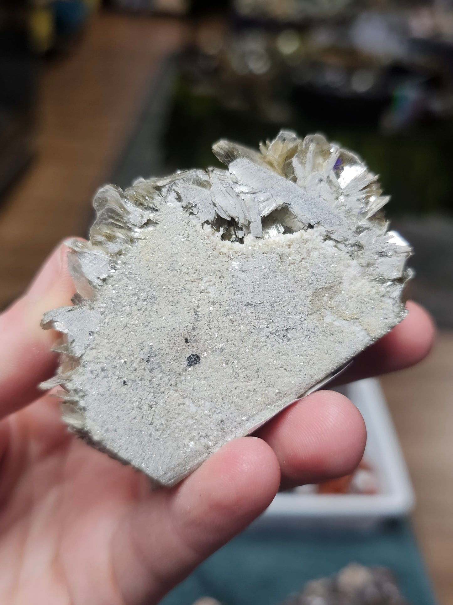 Aquamarine on Muscovite