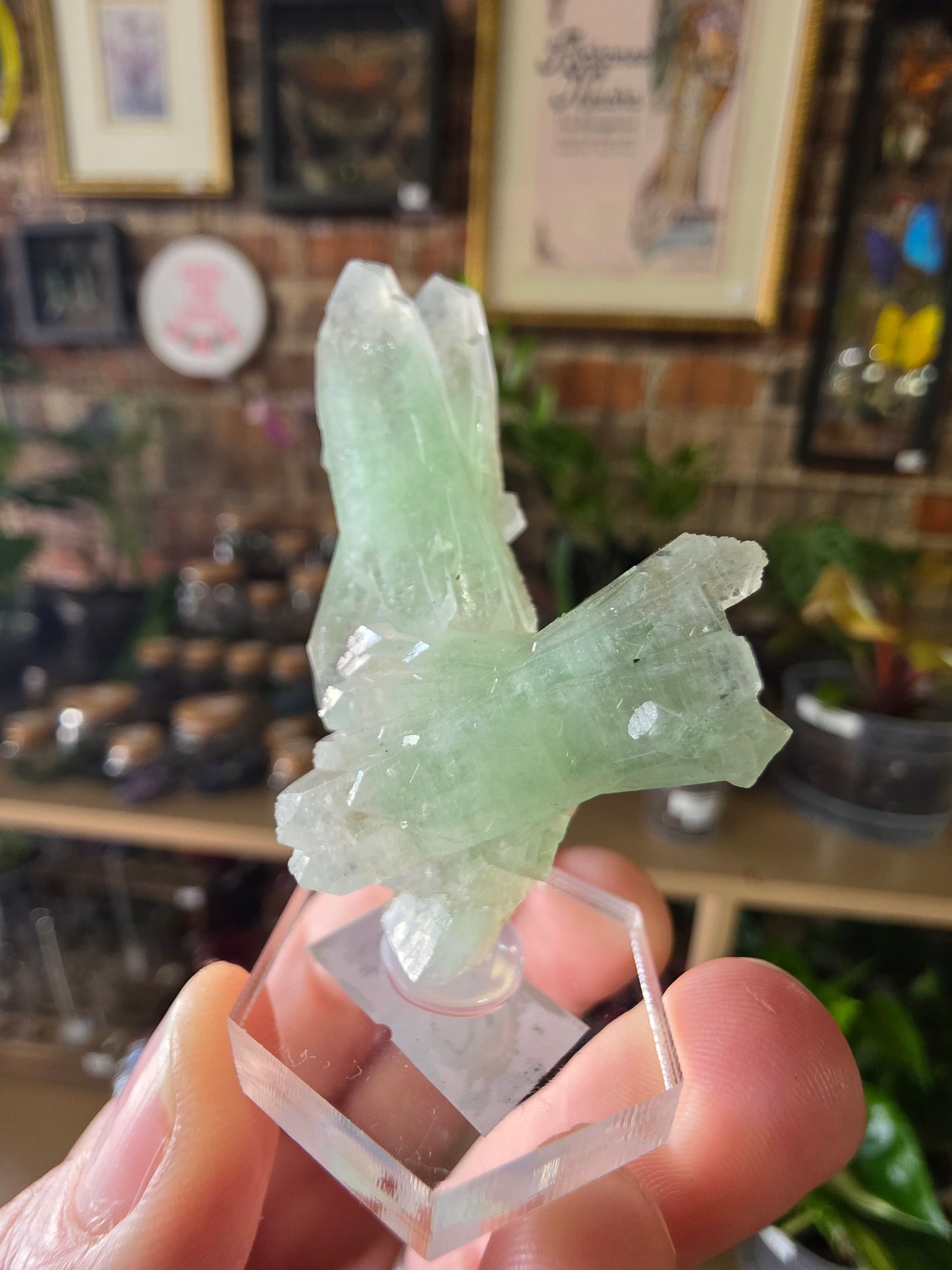 Green Apophyllite