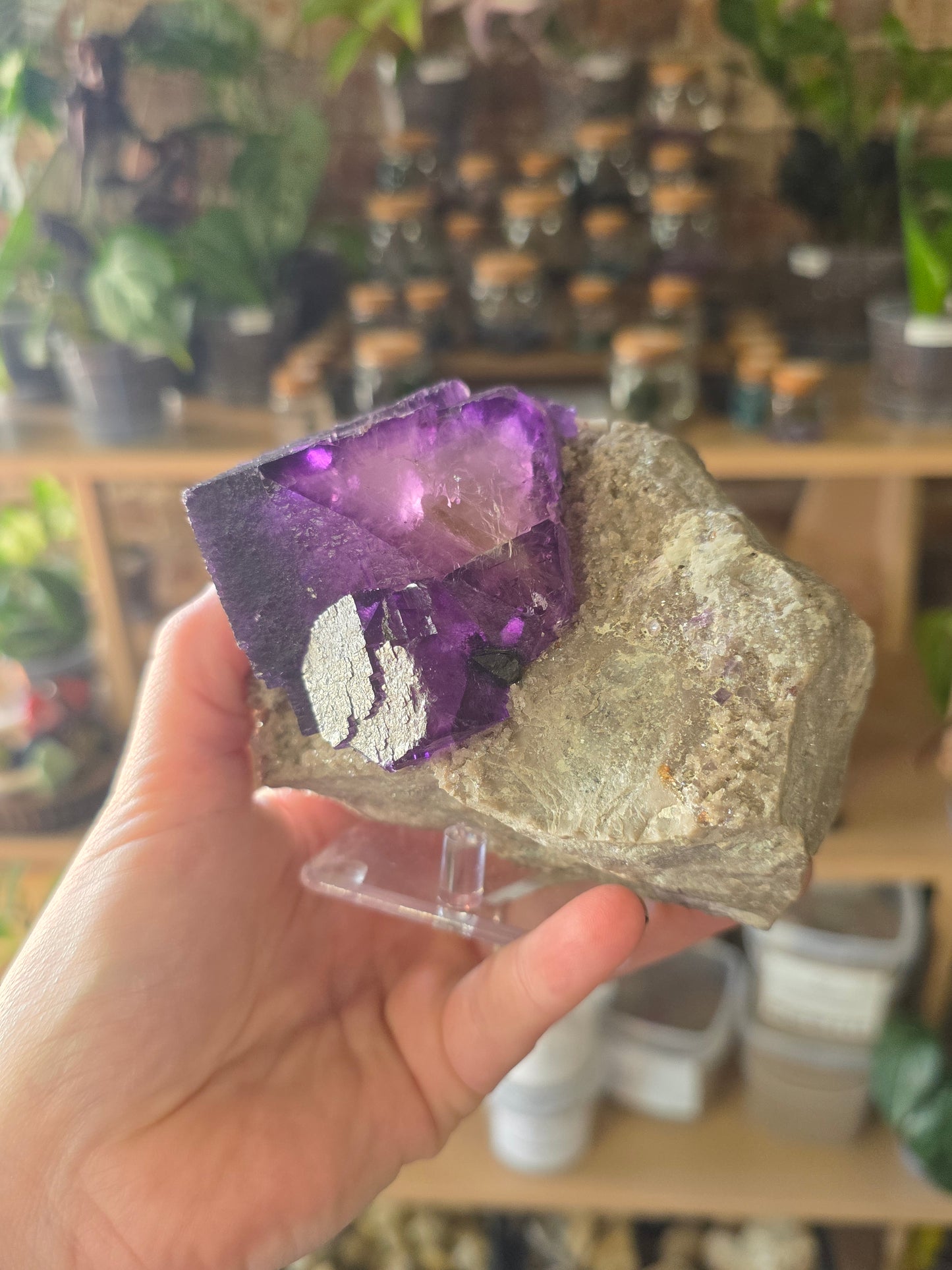 Fluorite and Sphalerite on Druzy Quartz