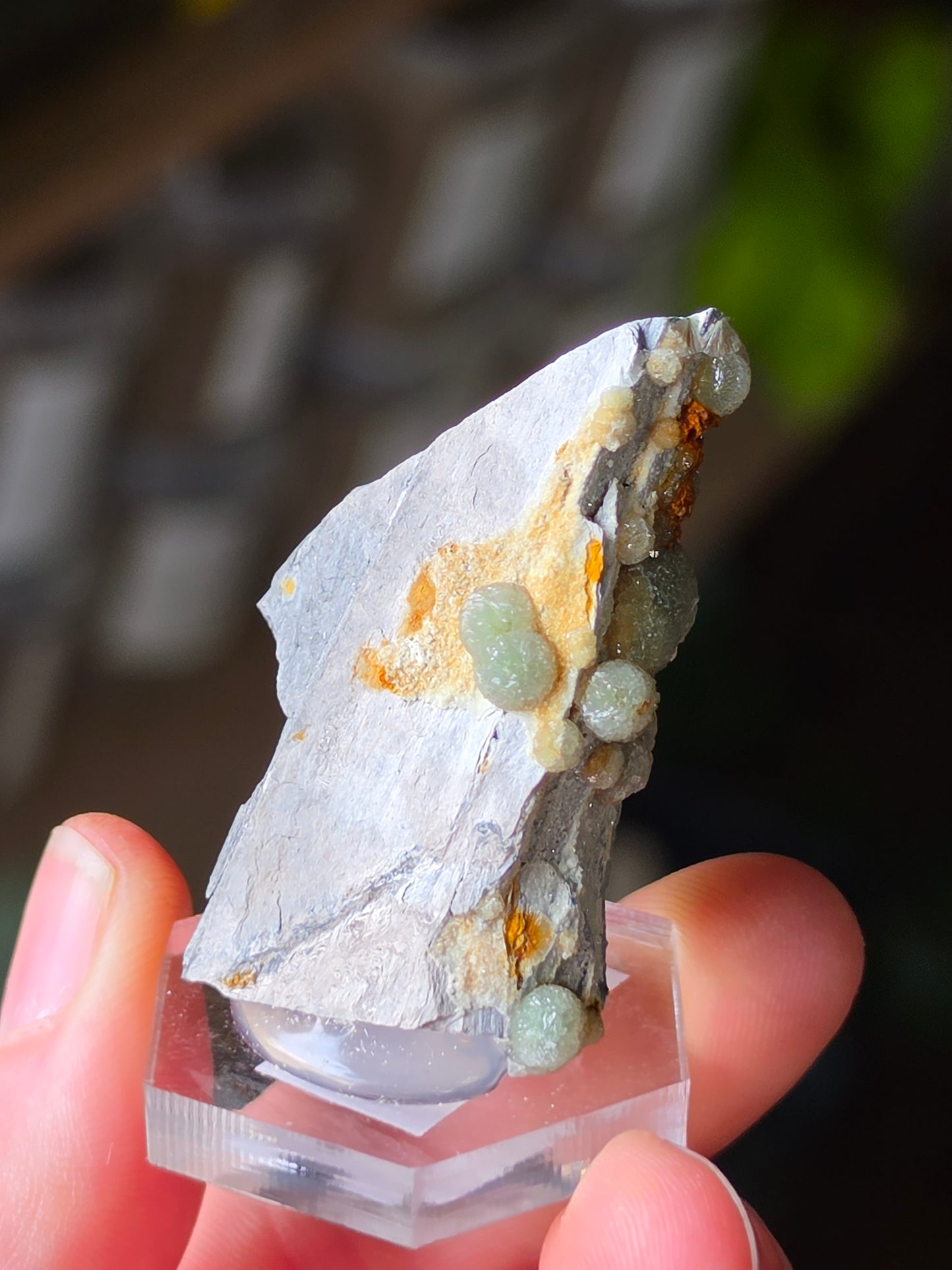 Wavelite