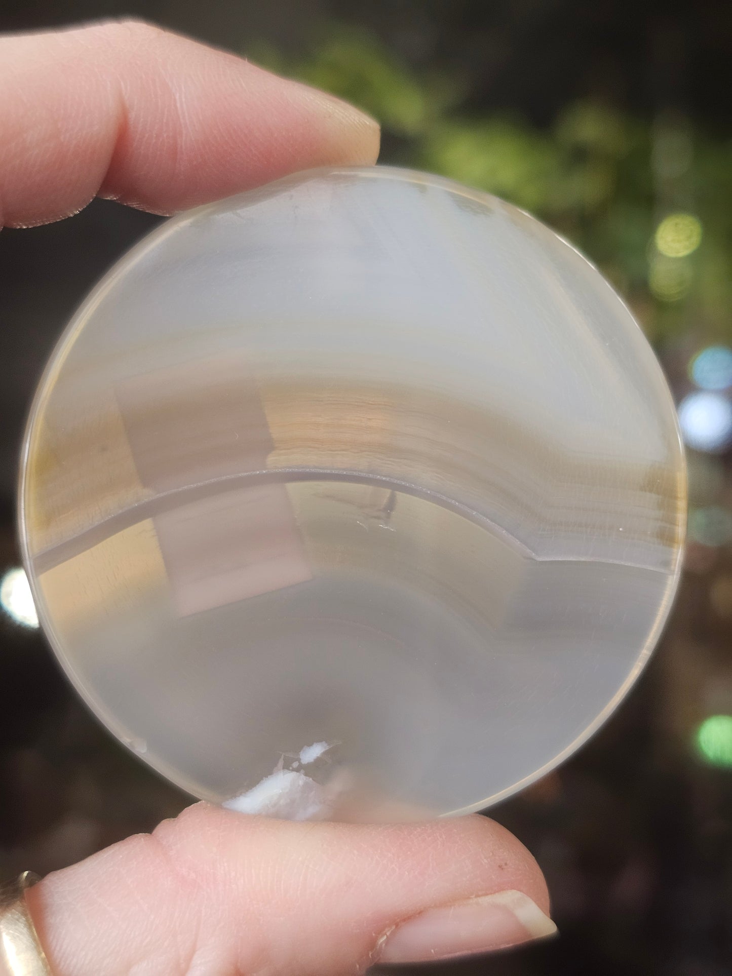 Flower Agate Disc