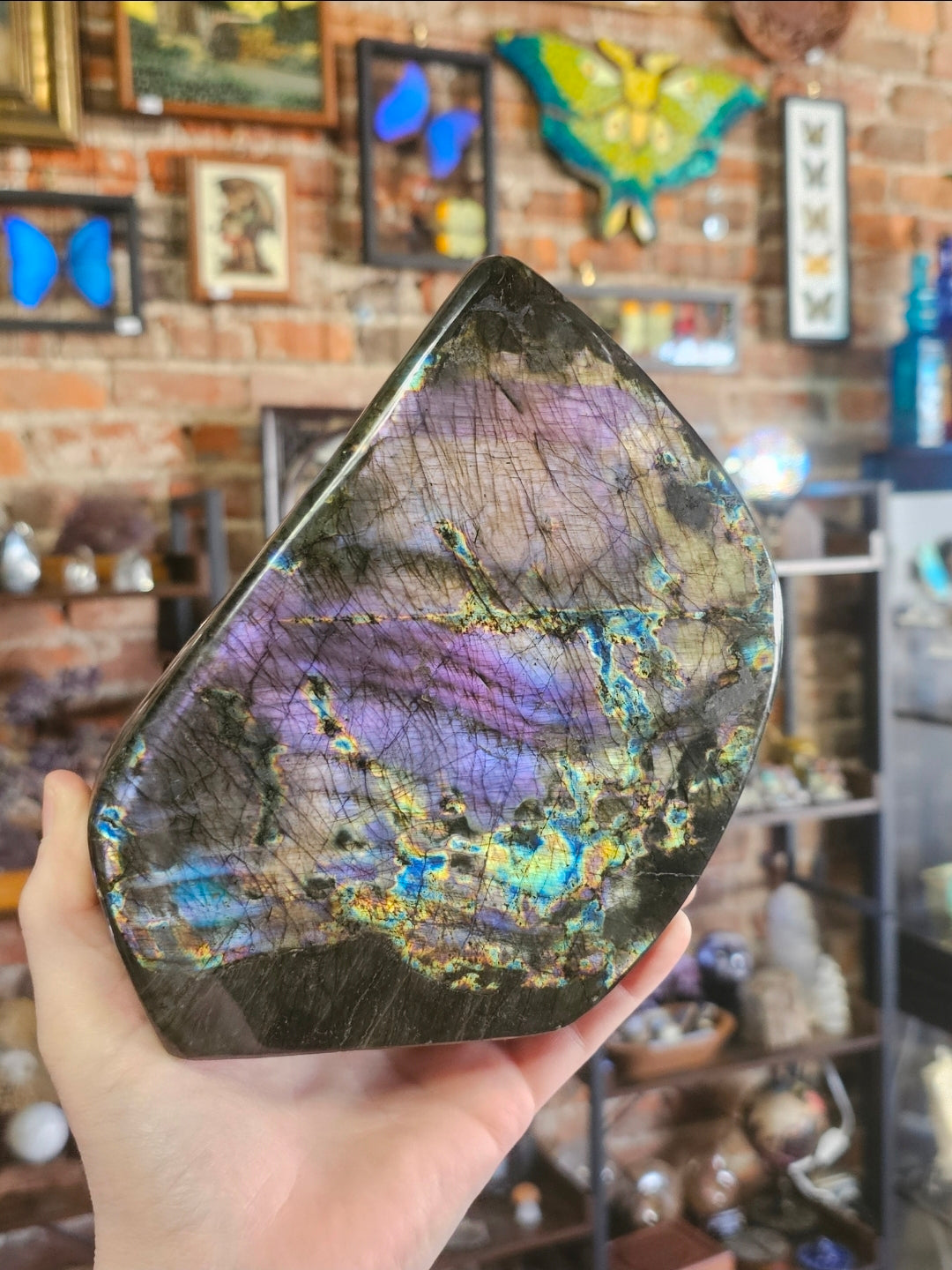 Rainbow labradorite freeform