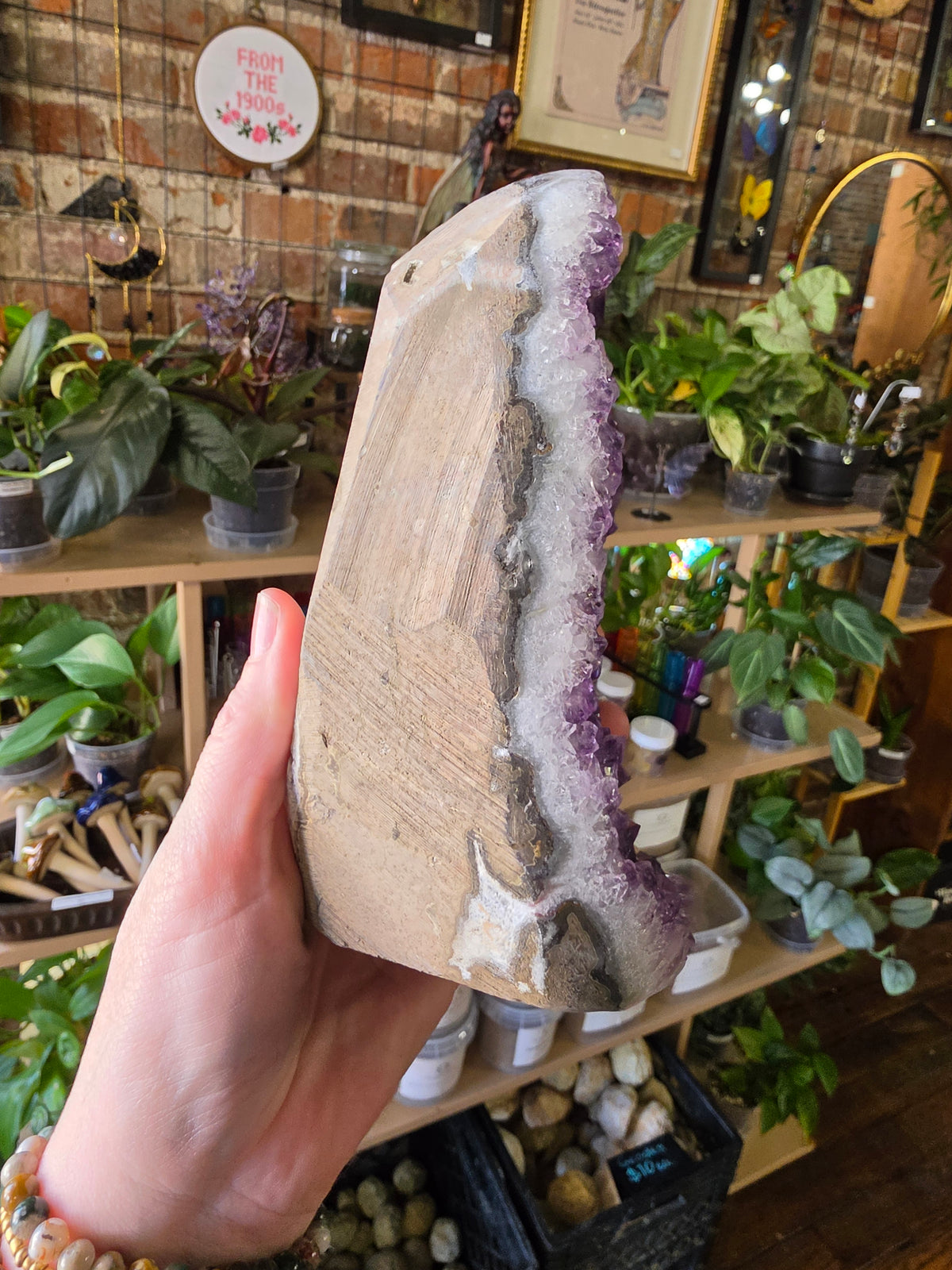 Cut Base Amethyst Cluster