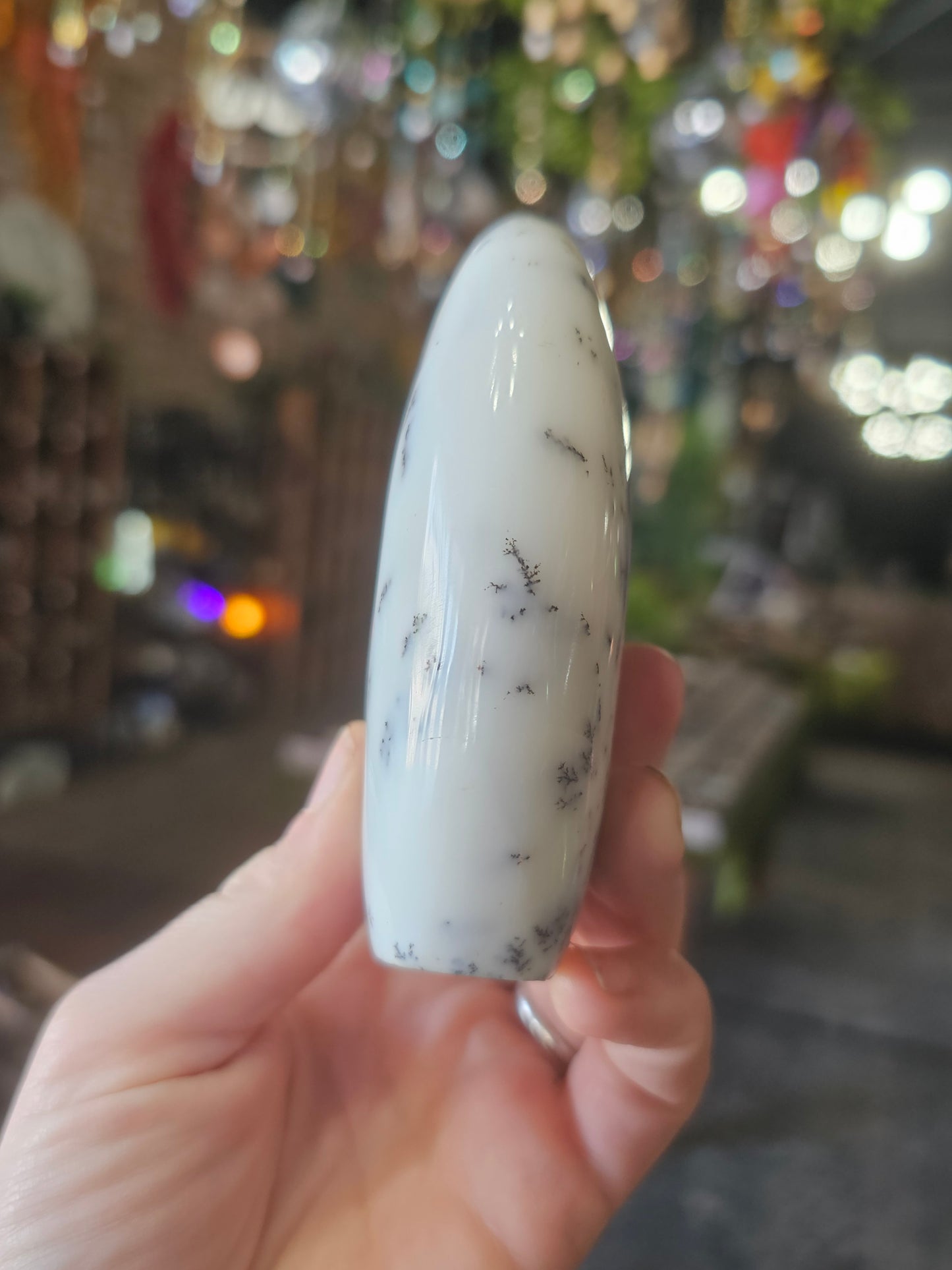 Dendritic Common Opal Freeform