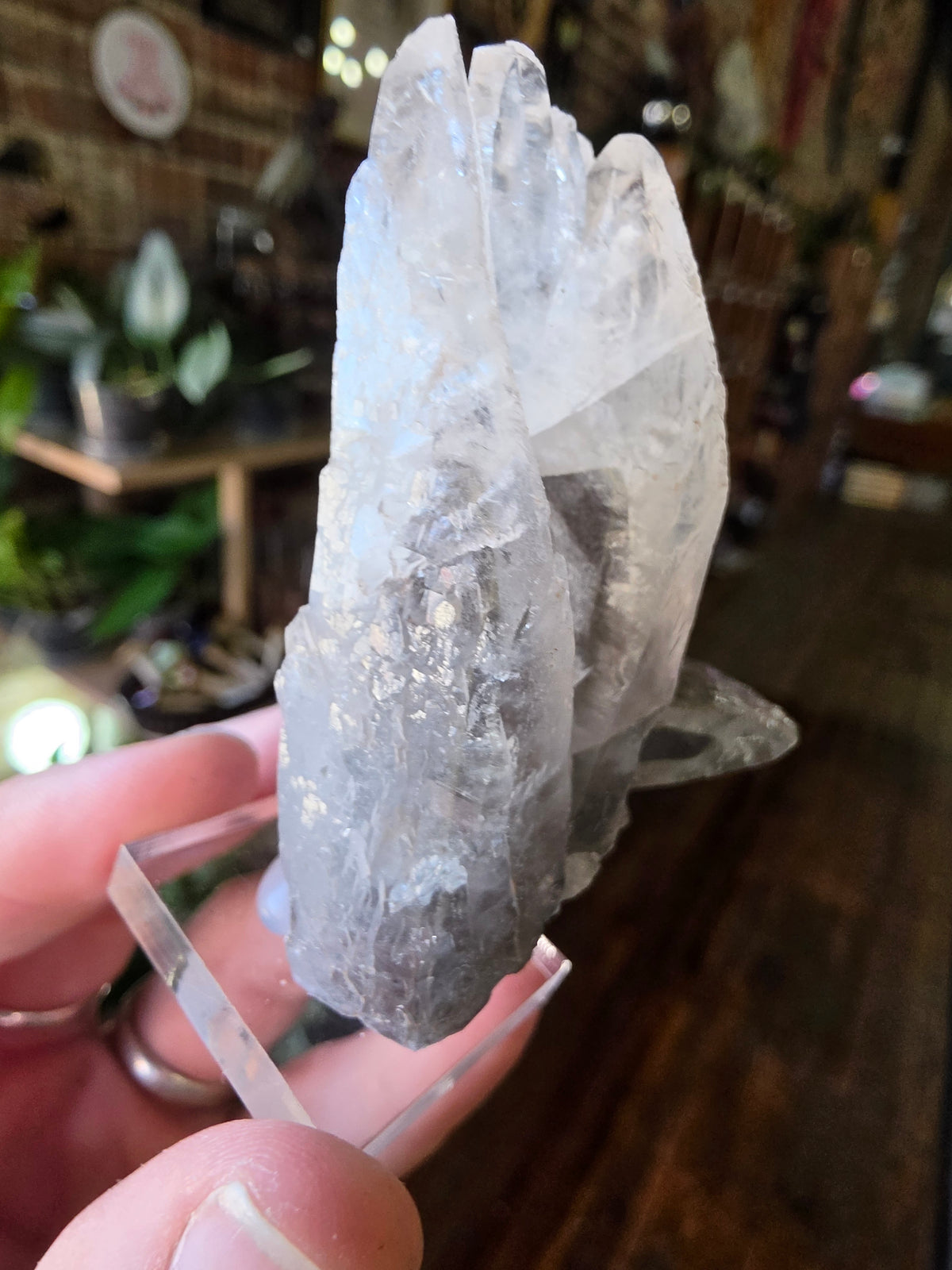 Phantom Calcite